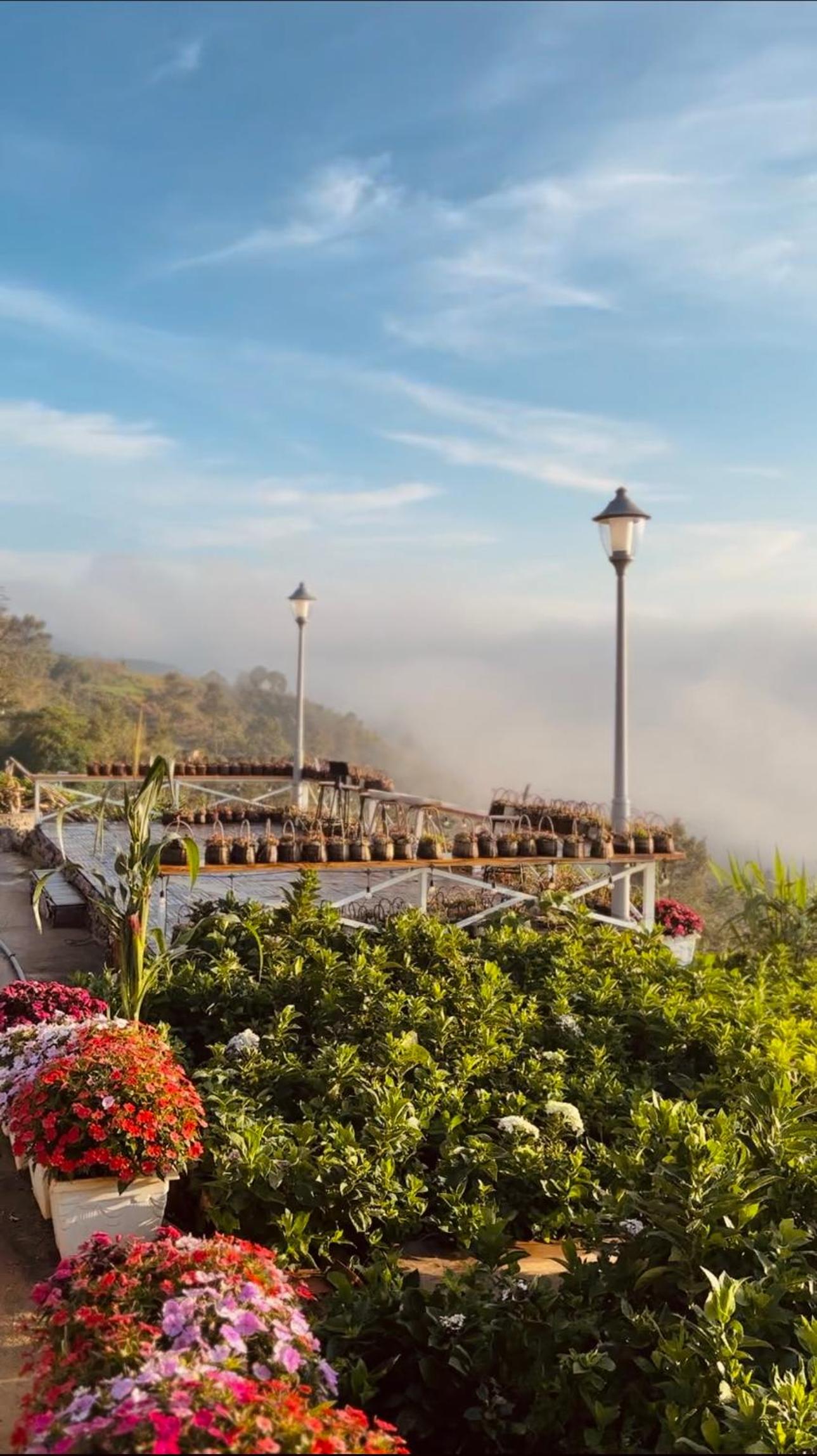 THỎ NON GARDEN CLOUDY OCEAN VIEW