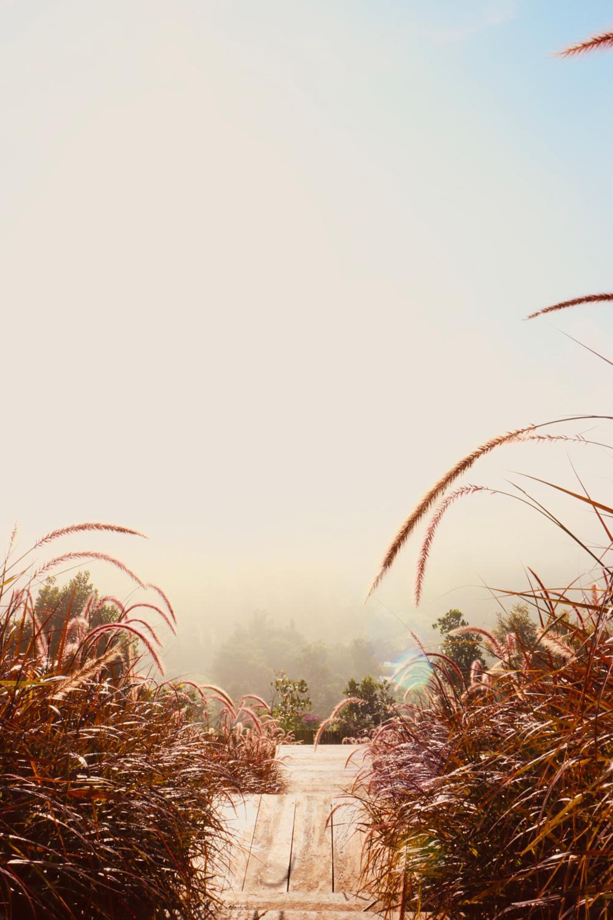 THỎ NON GARDEN CLOUDY OCEAN VIEW