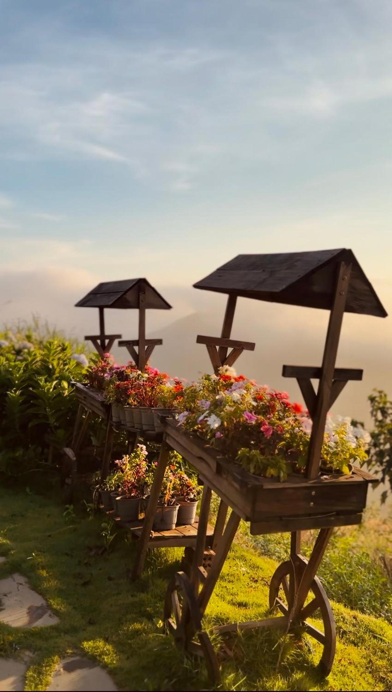THỎ NON GARDEN CLOUDY OCEAN VIEW