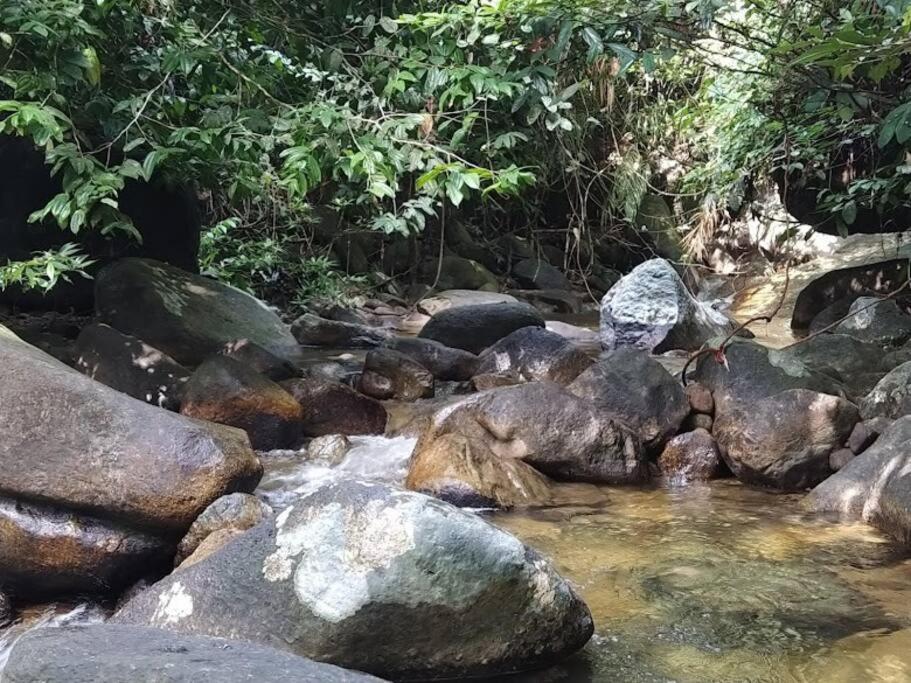 TeratakAmandamai-kids friendly