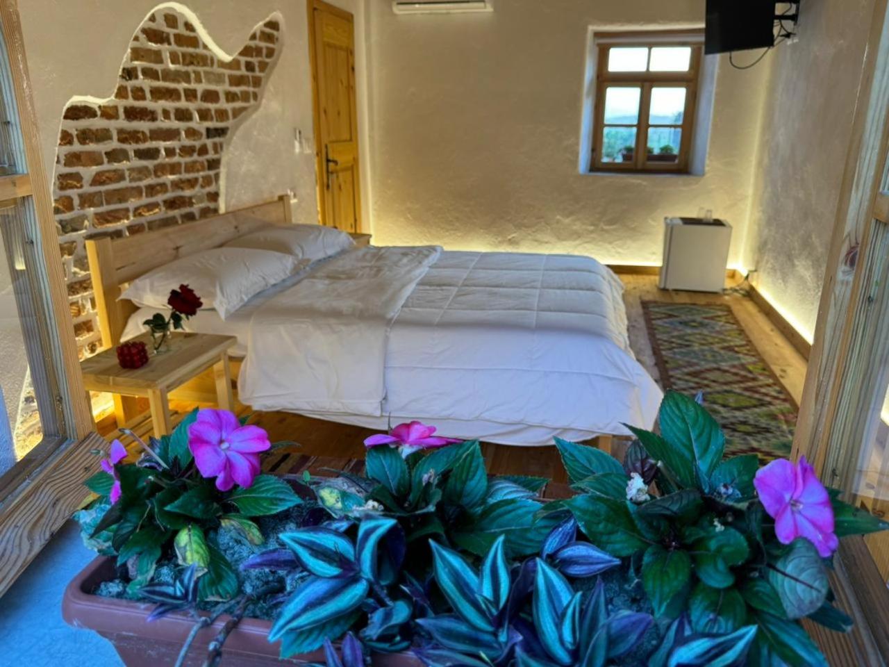 Guesthouse Vitoria - Mrizi i Zanave