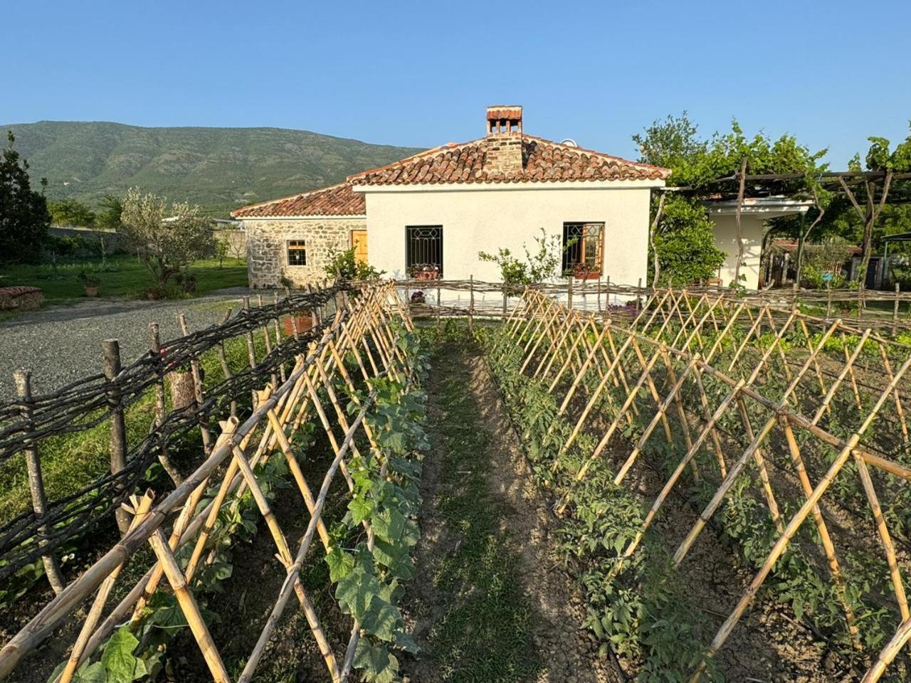 Guesthouse Vitoria - Mrizi i Zanave