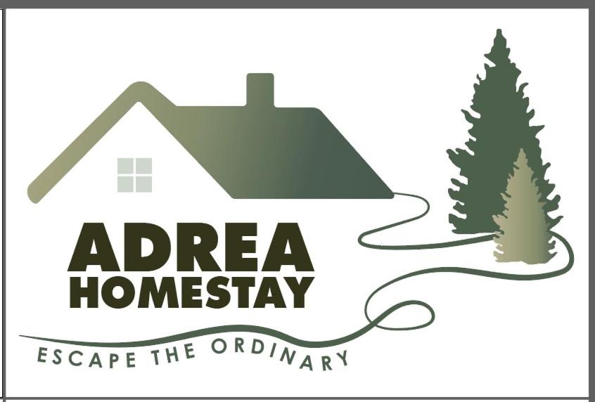 Adrea Loft Homestay Terengganu photo 1