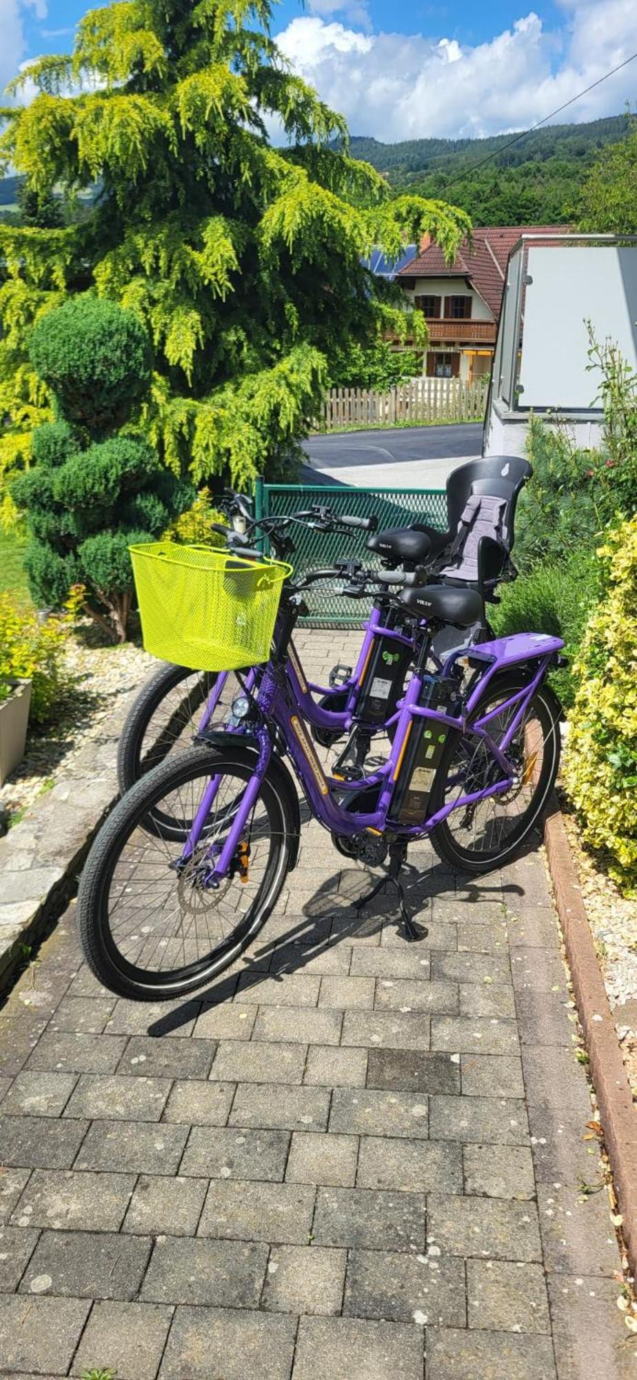 Zwei Schlafzimmer Ferienapartment Anna am Stubenbergsee inklusive zwei E-Bikes