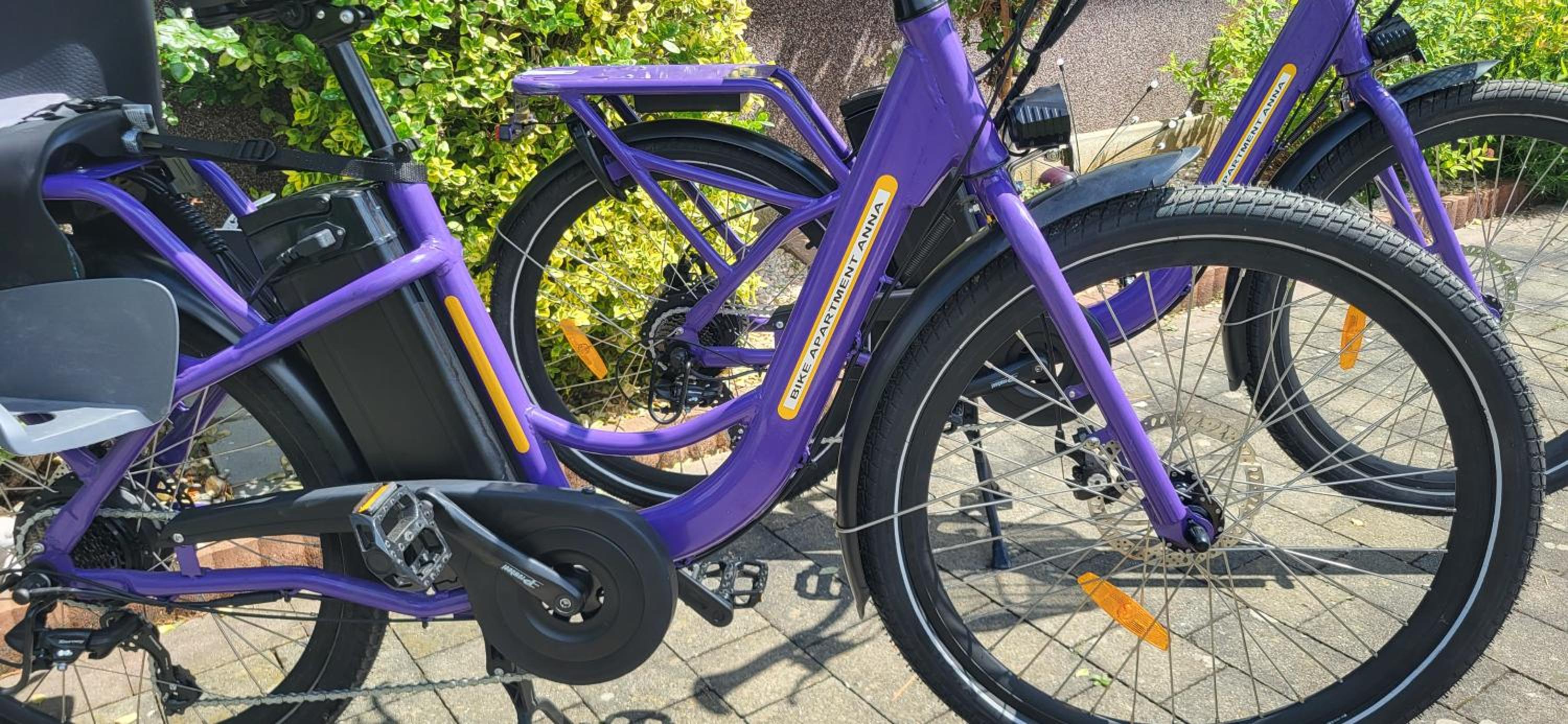 Zwei Schlafzimmer Ferienapartment Anna am Stubenbergsee inklusive zwei E-Bikes