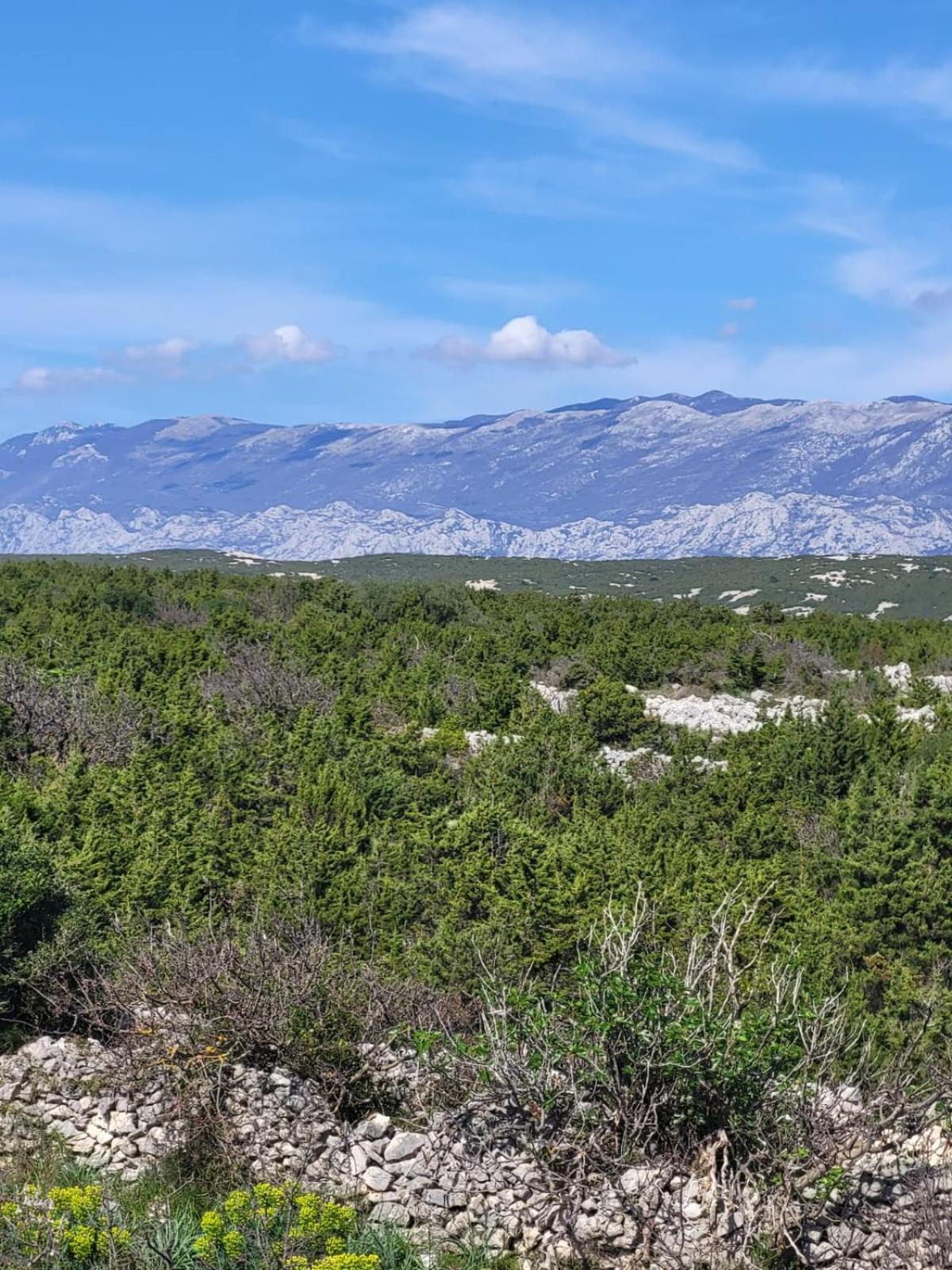Wohnung mit wunderschönen Meer- und Bergen- Aussicht