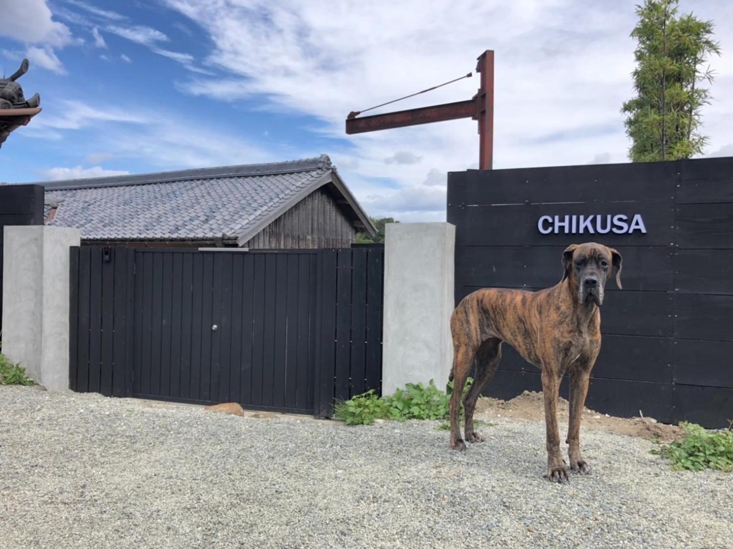 Awajishima dog stay, CHIKUSA - Vacation STAY 17225v view 5