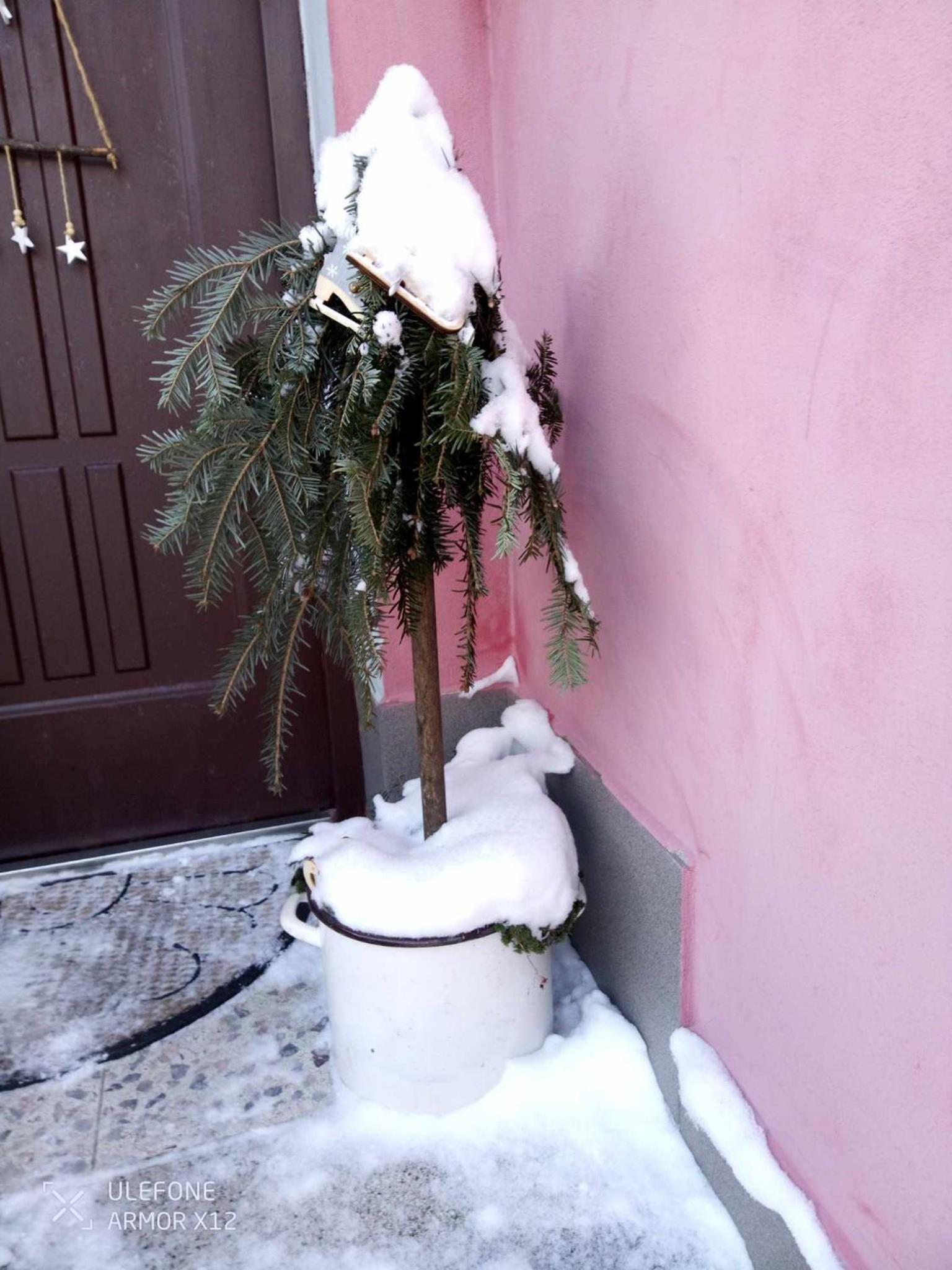 Štempel Karol , Bělá pod Pradědem, Domašov 412