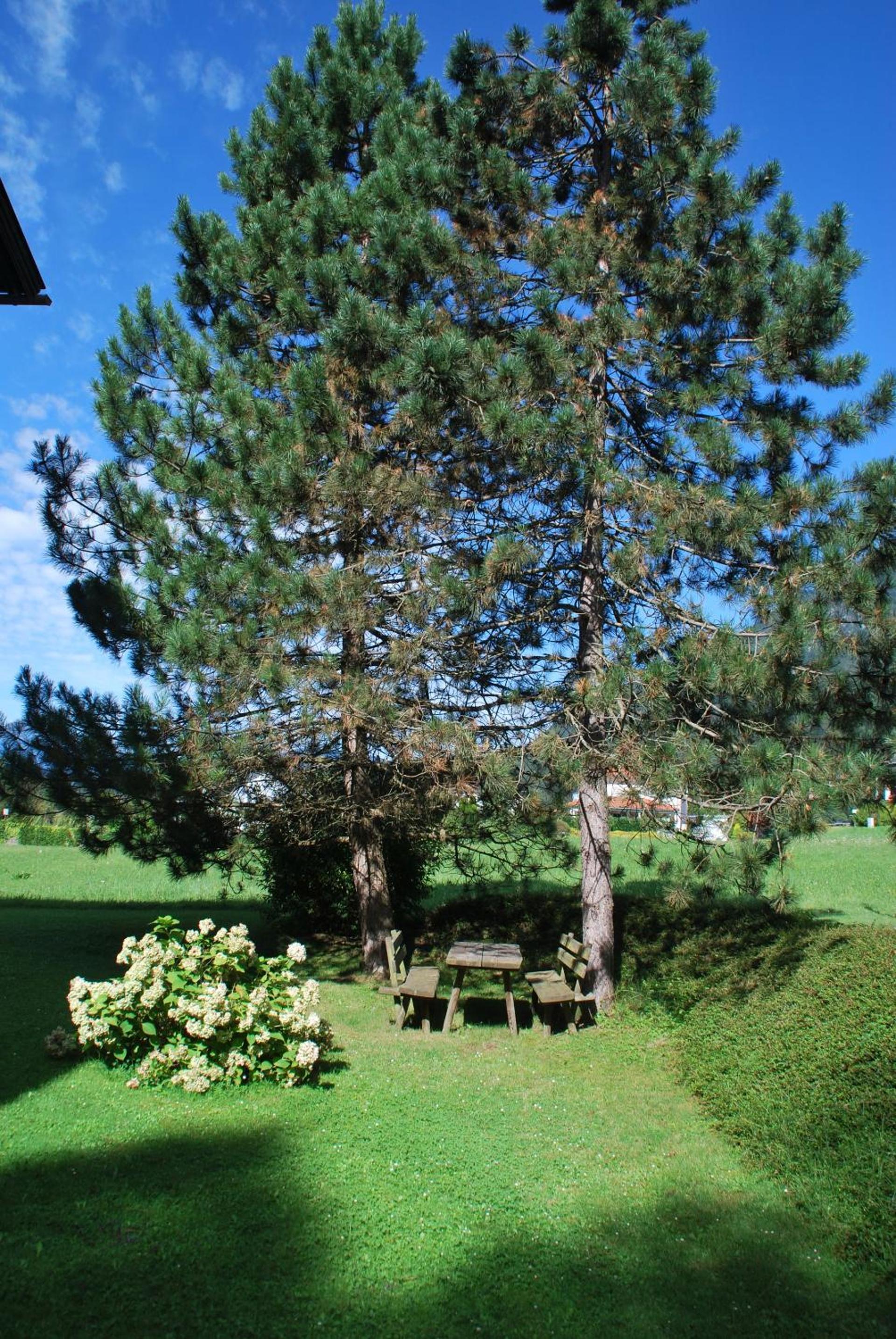 Haus Pock
