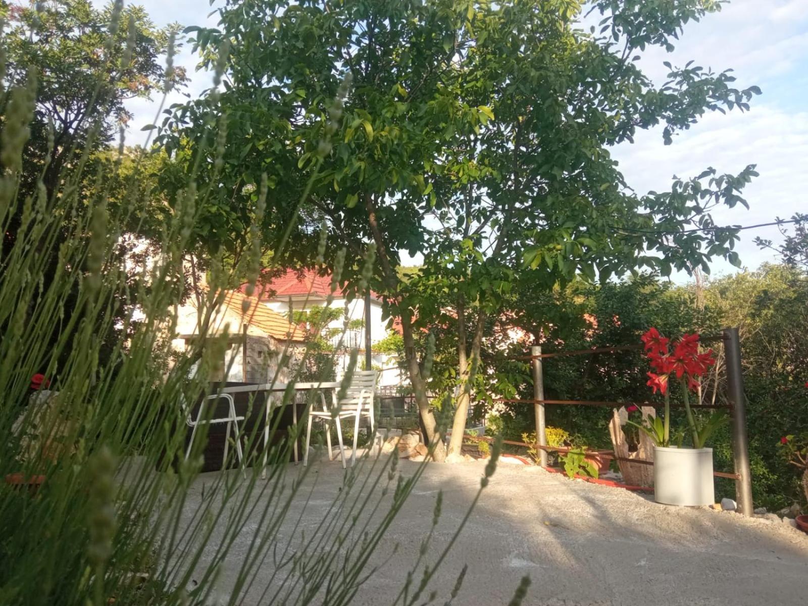 Studio Biokovo smaller object 22 m2