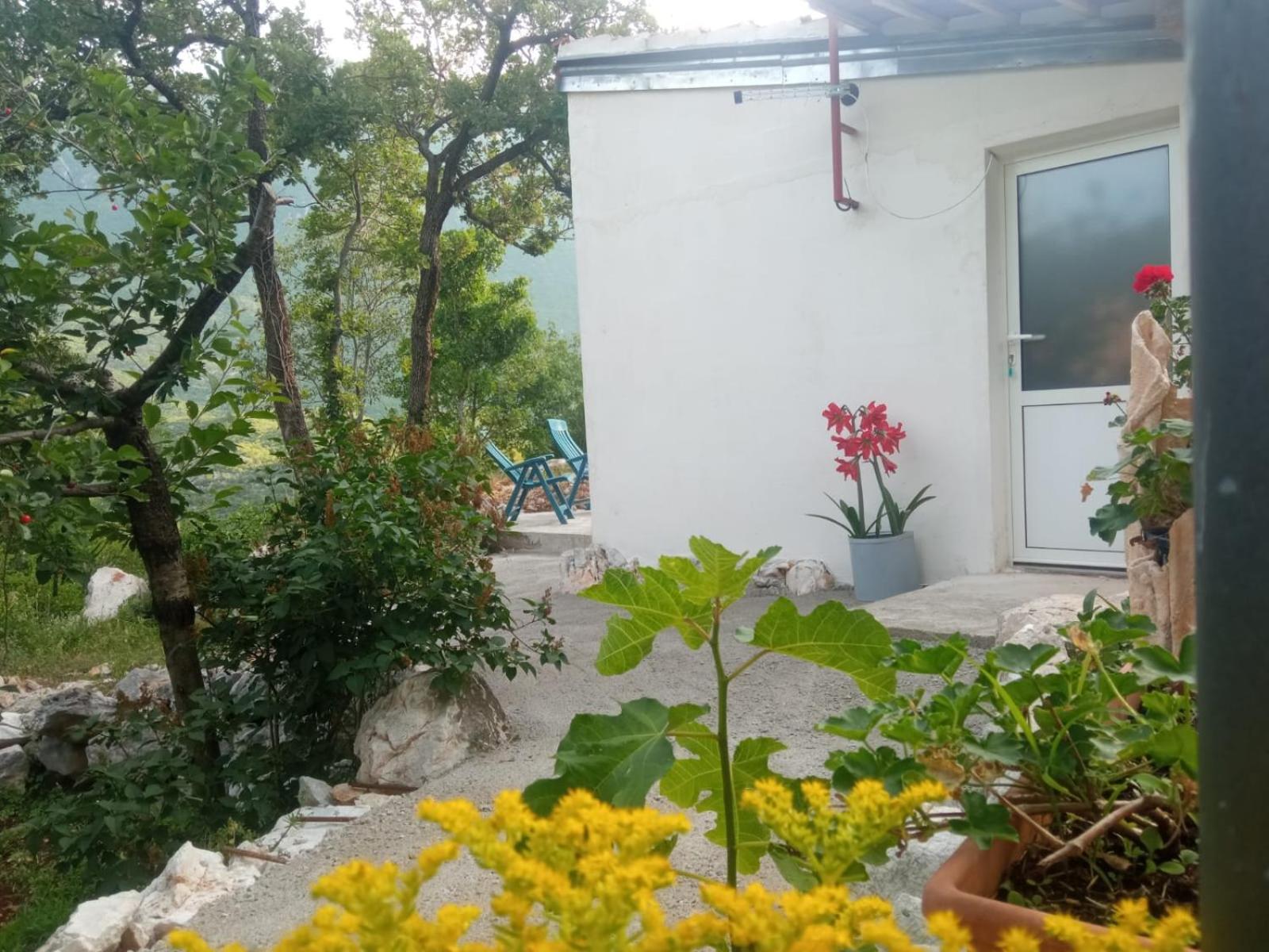 Studio Biokovo smaller object 22 m2