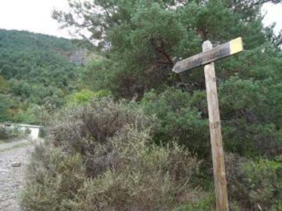 Las Mariposas de Villanúa