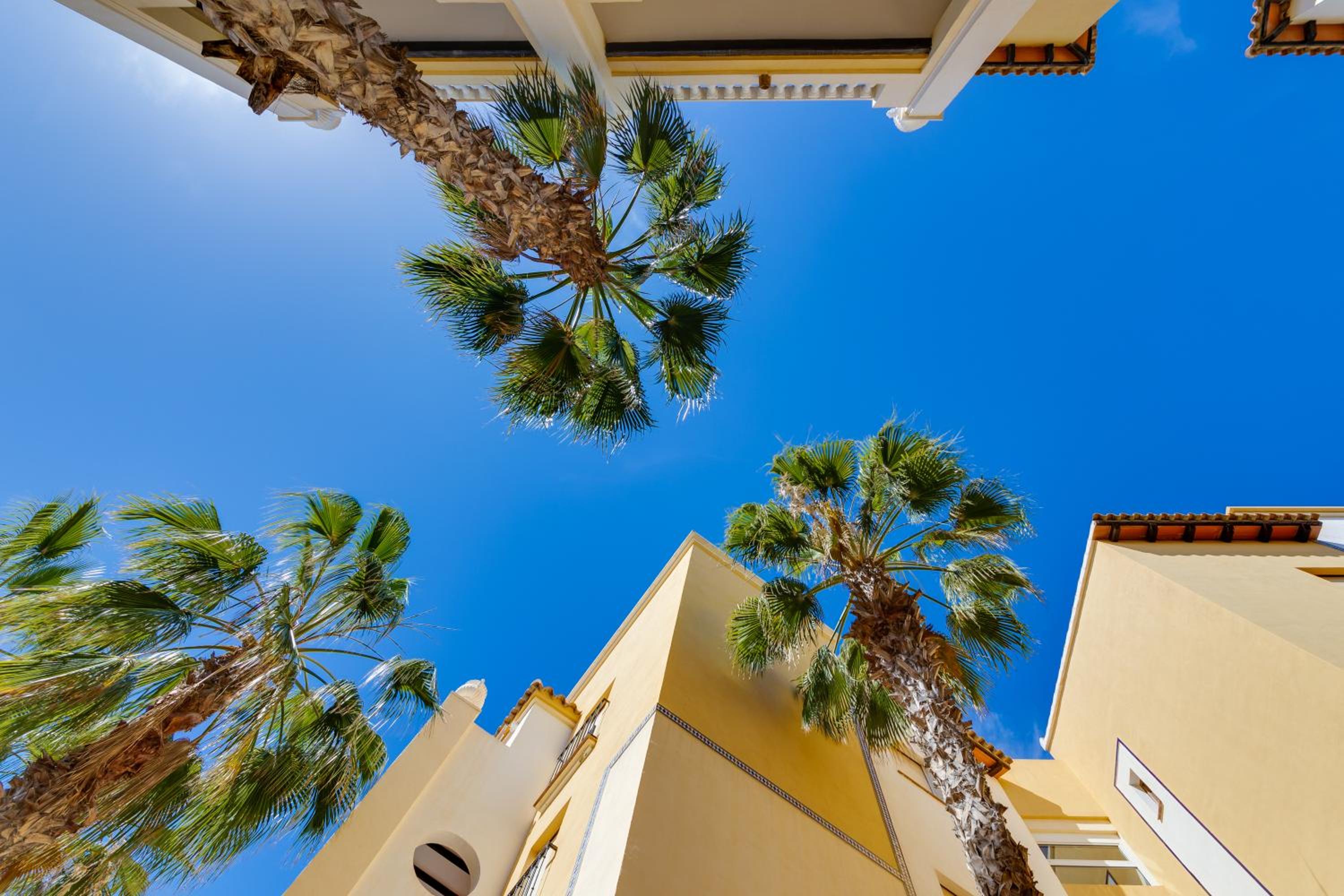 Premium Apartment Beach Aldea del Mar