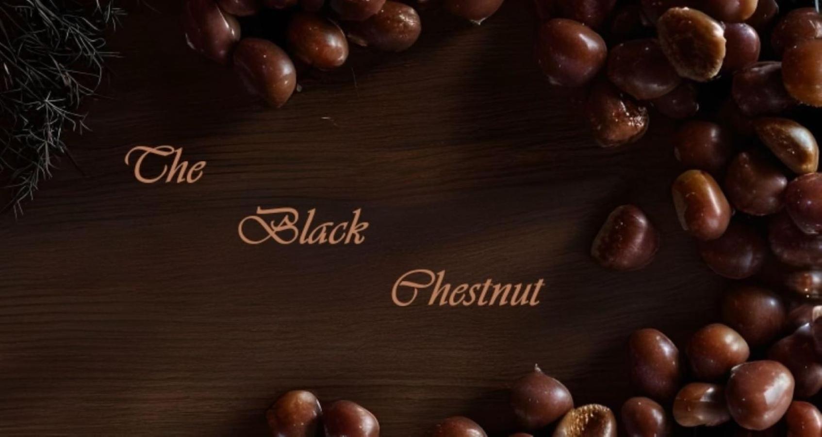 The Black Chestnut view 3