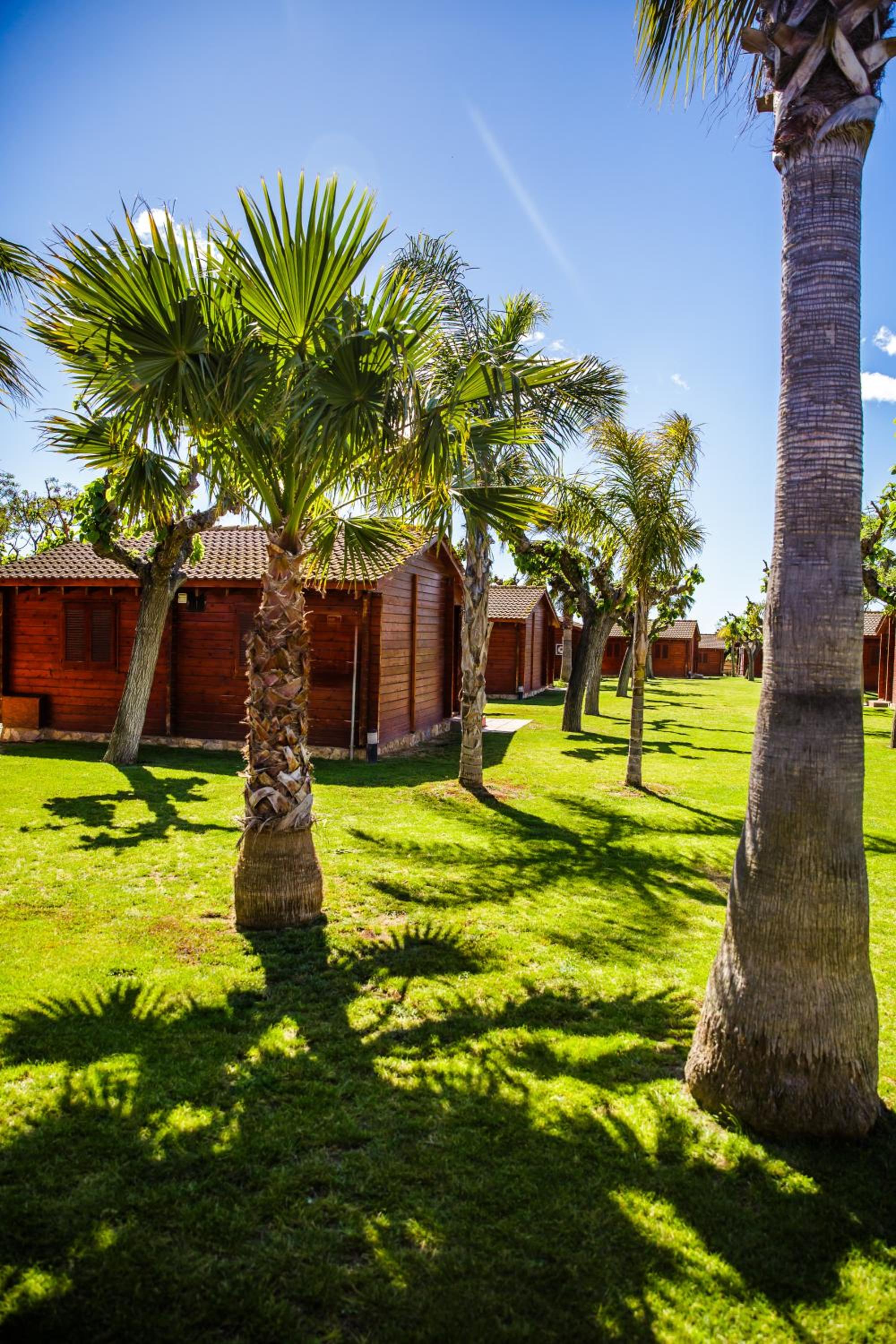 Camping La Llosa