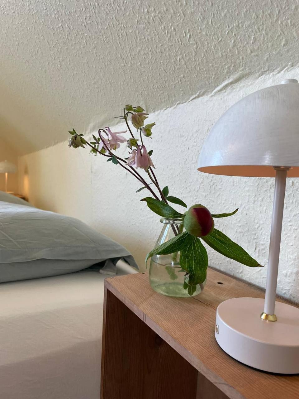 Homestay in charming house on the countryside