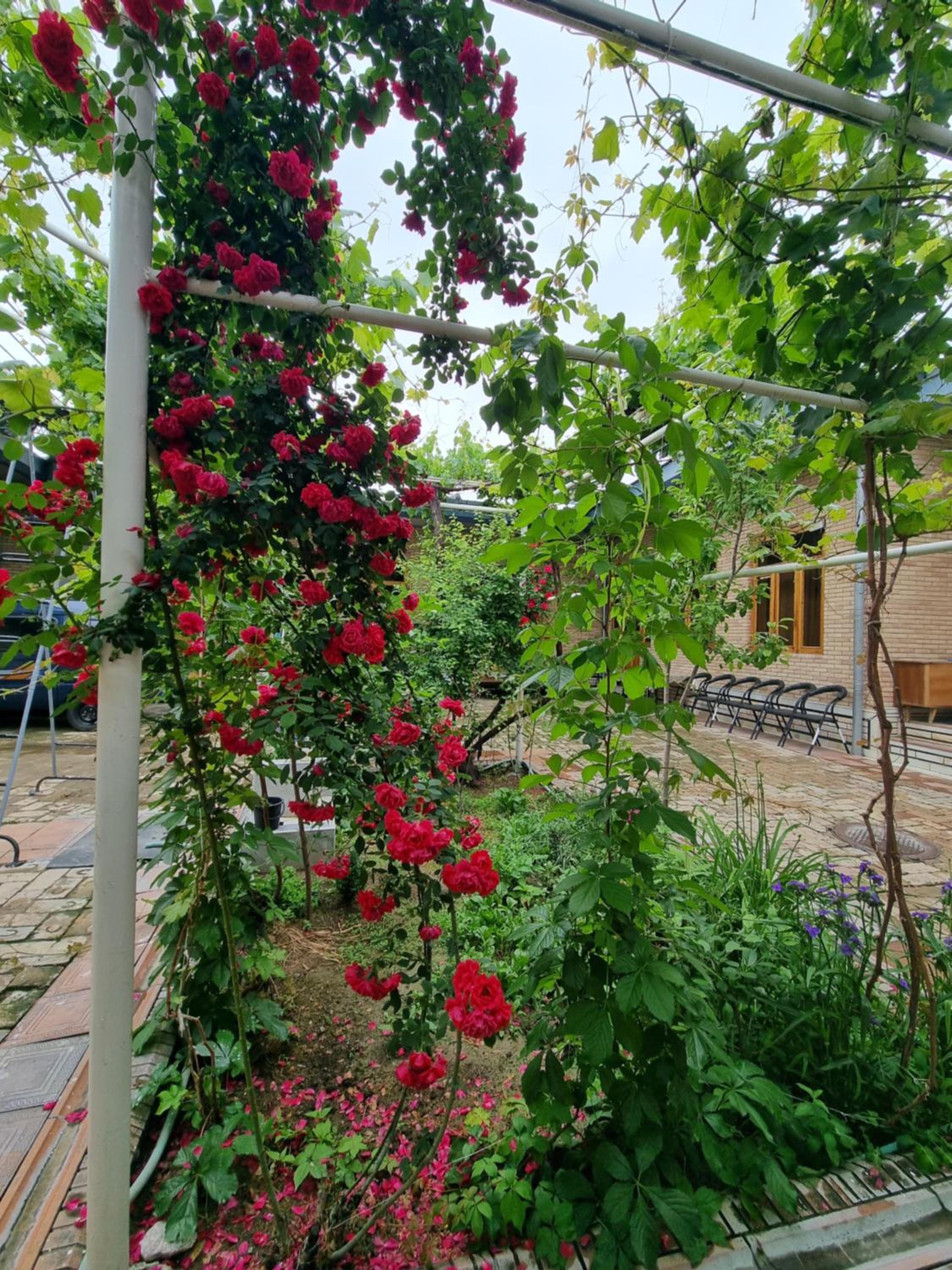 Hostel Muborak view 2