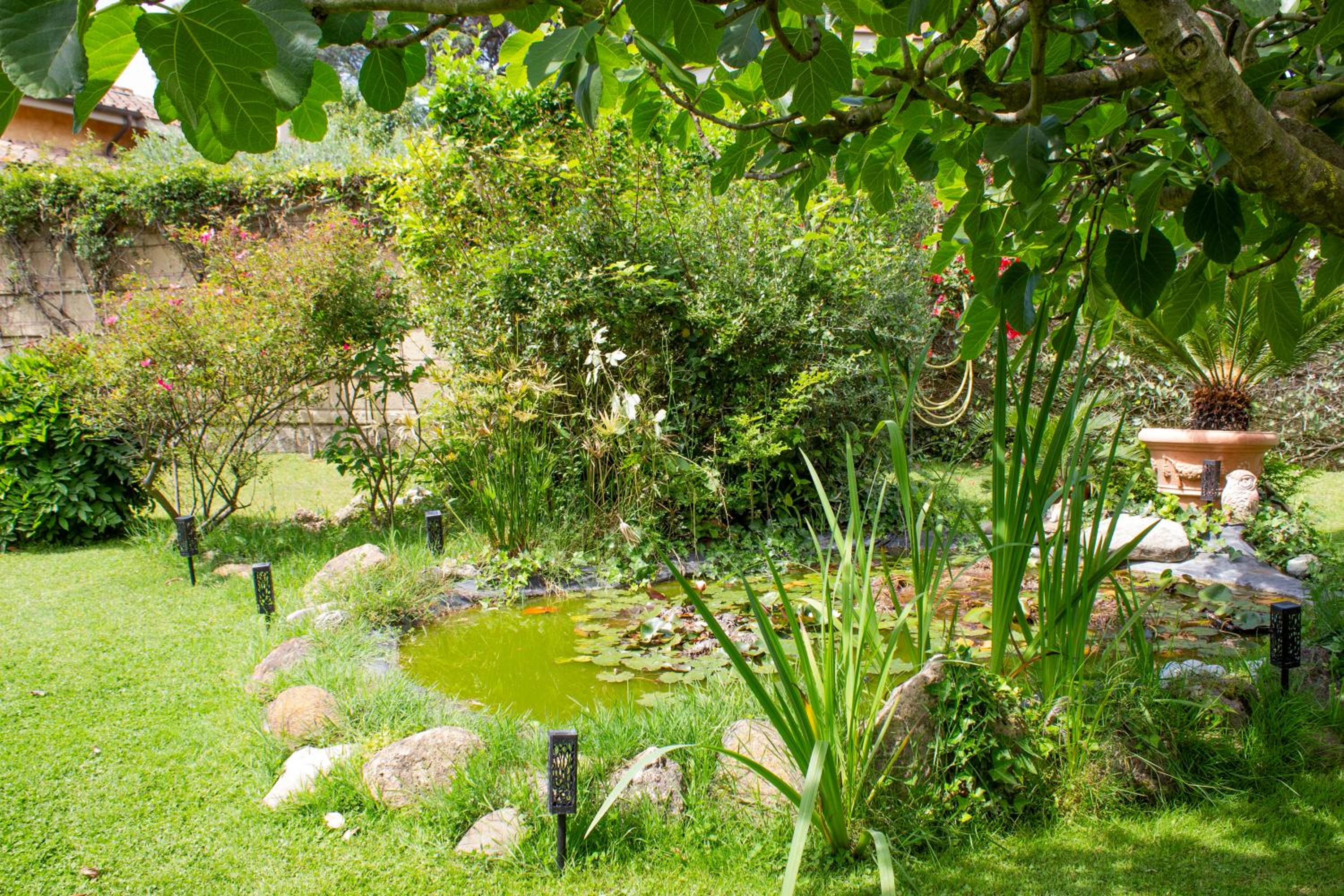 Villa Ninfea wonderful garden, business & relax view 5