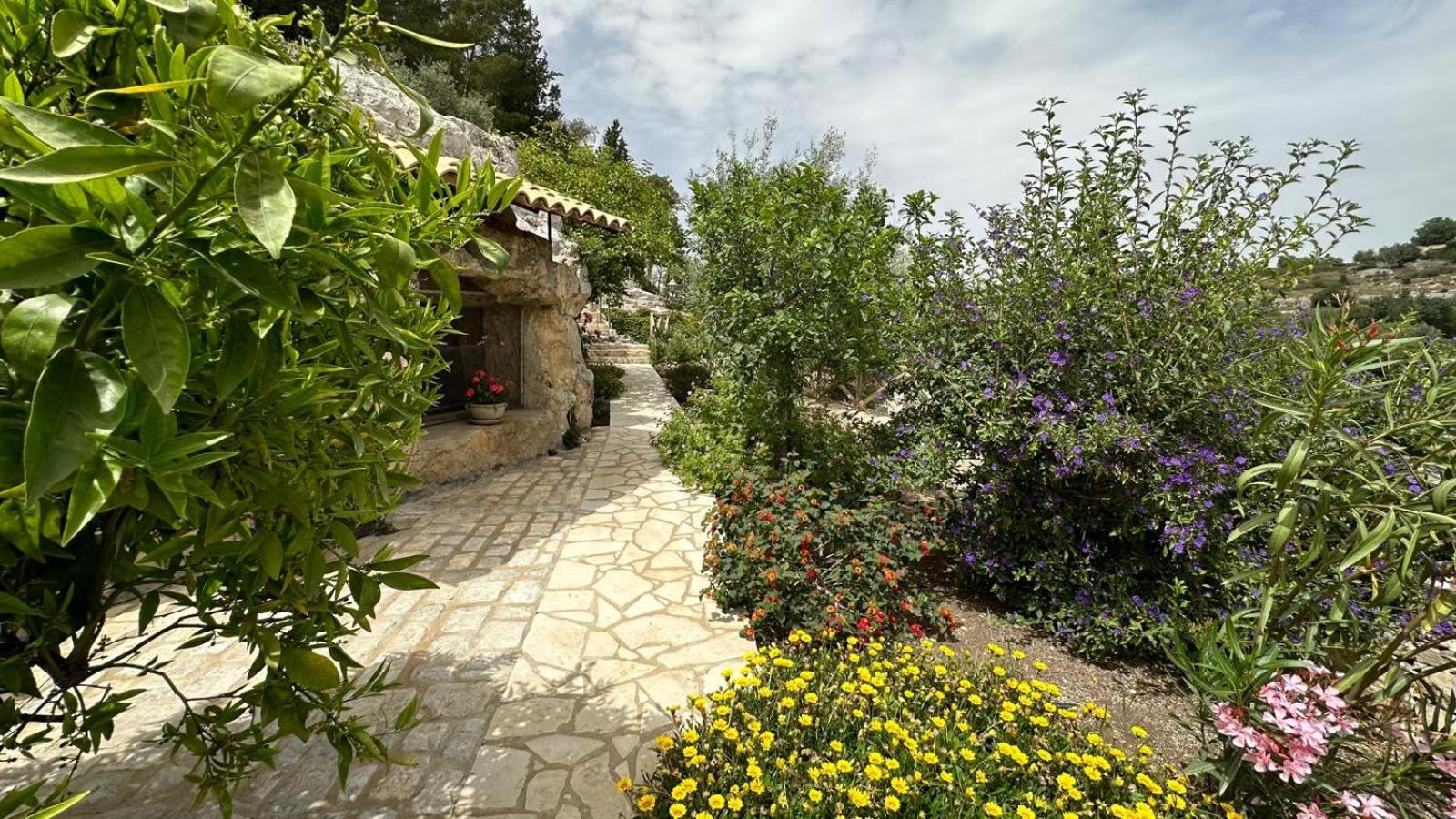 Casa vacanze Il Mandarancio view 3