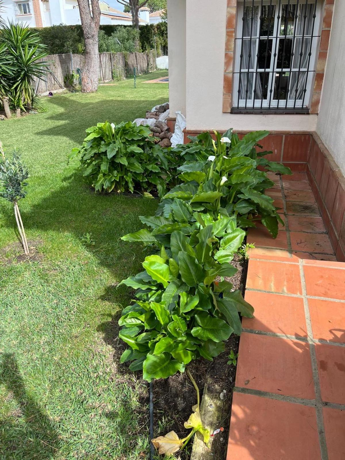 Villa Alegría