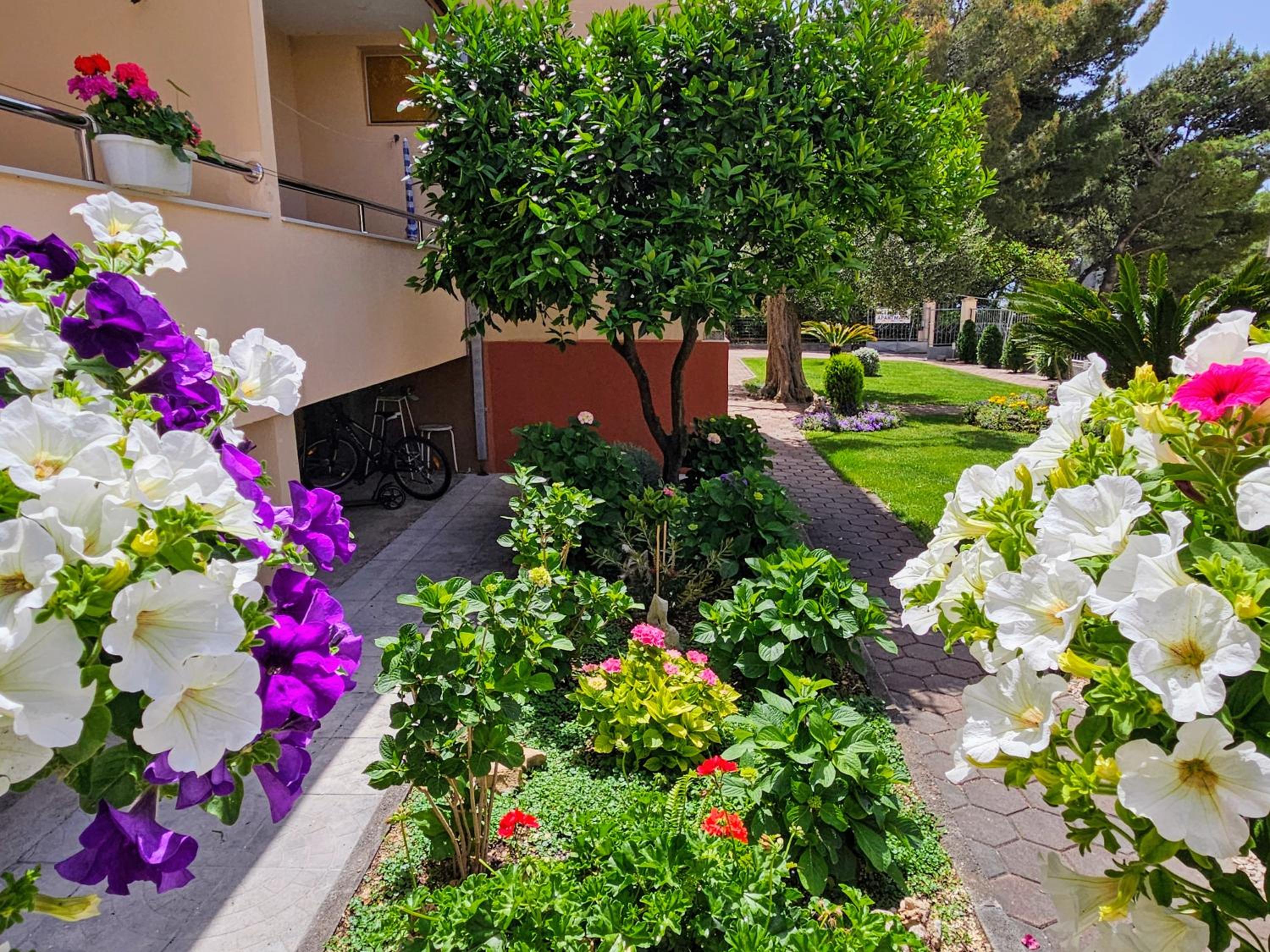 Guest House Antonia
