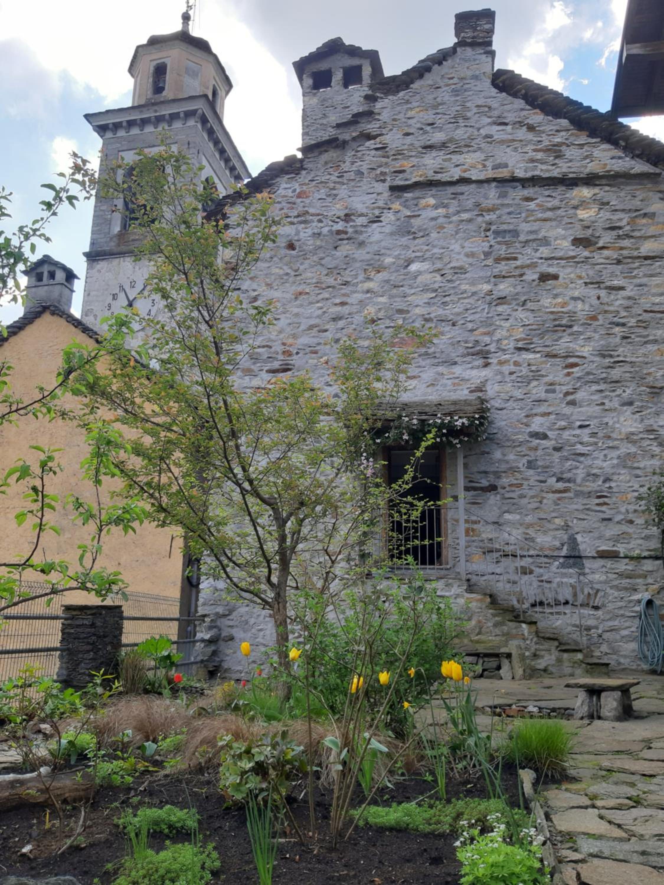 Photo 22