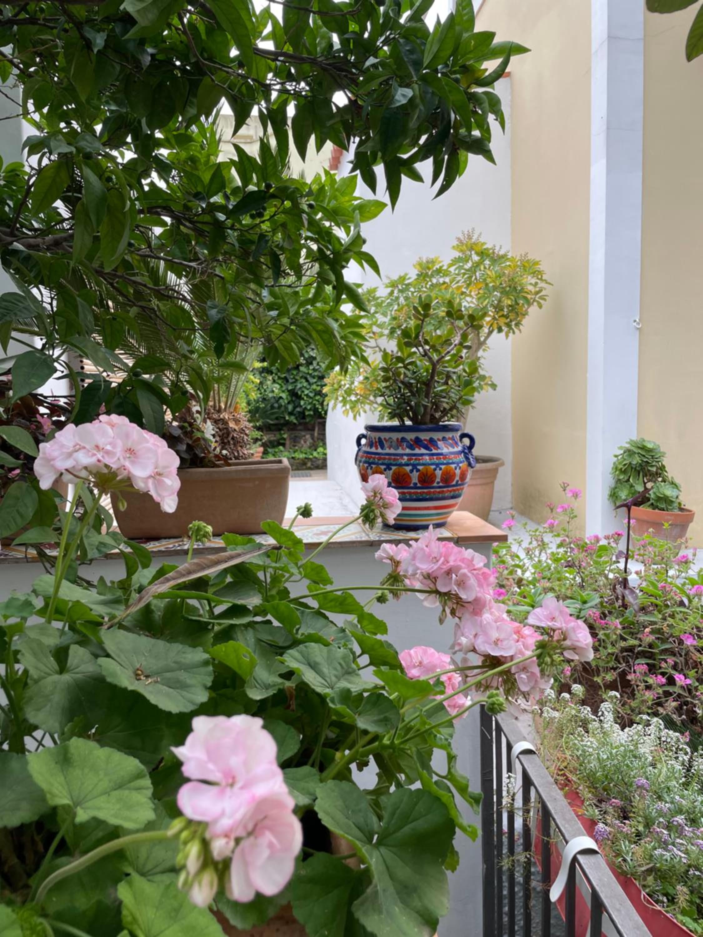 Appartamenti Villa Maria view 2