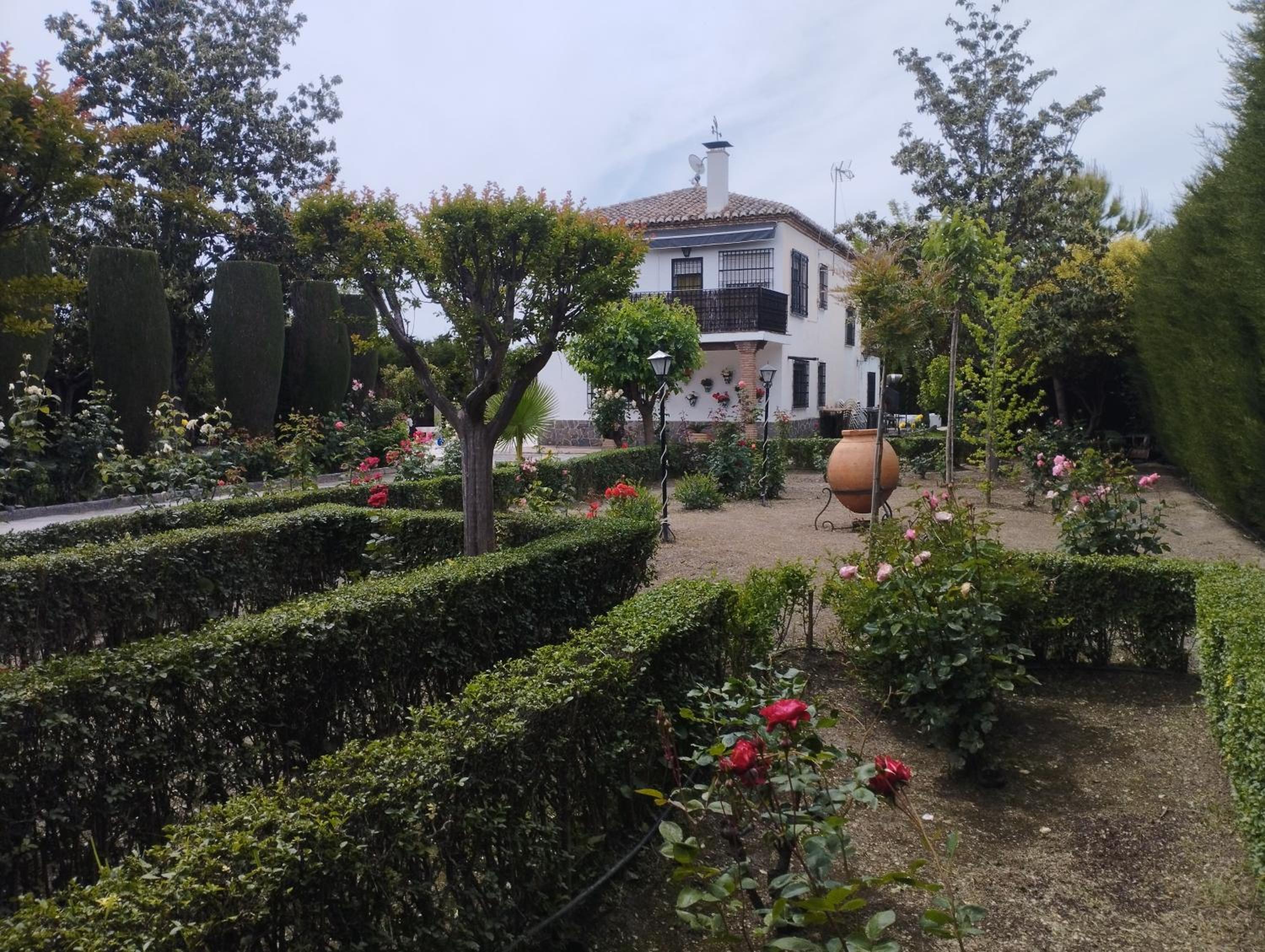 VIVIENDA RURAL HUERTA DEl MEDIO
