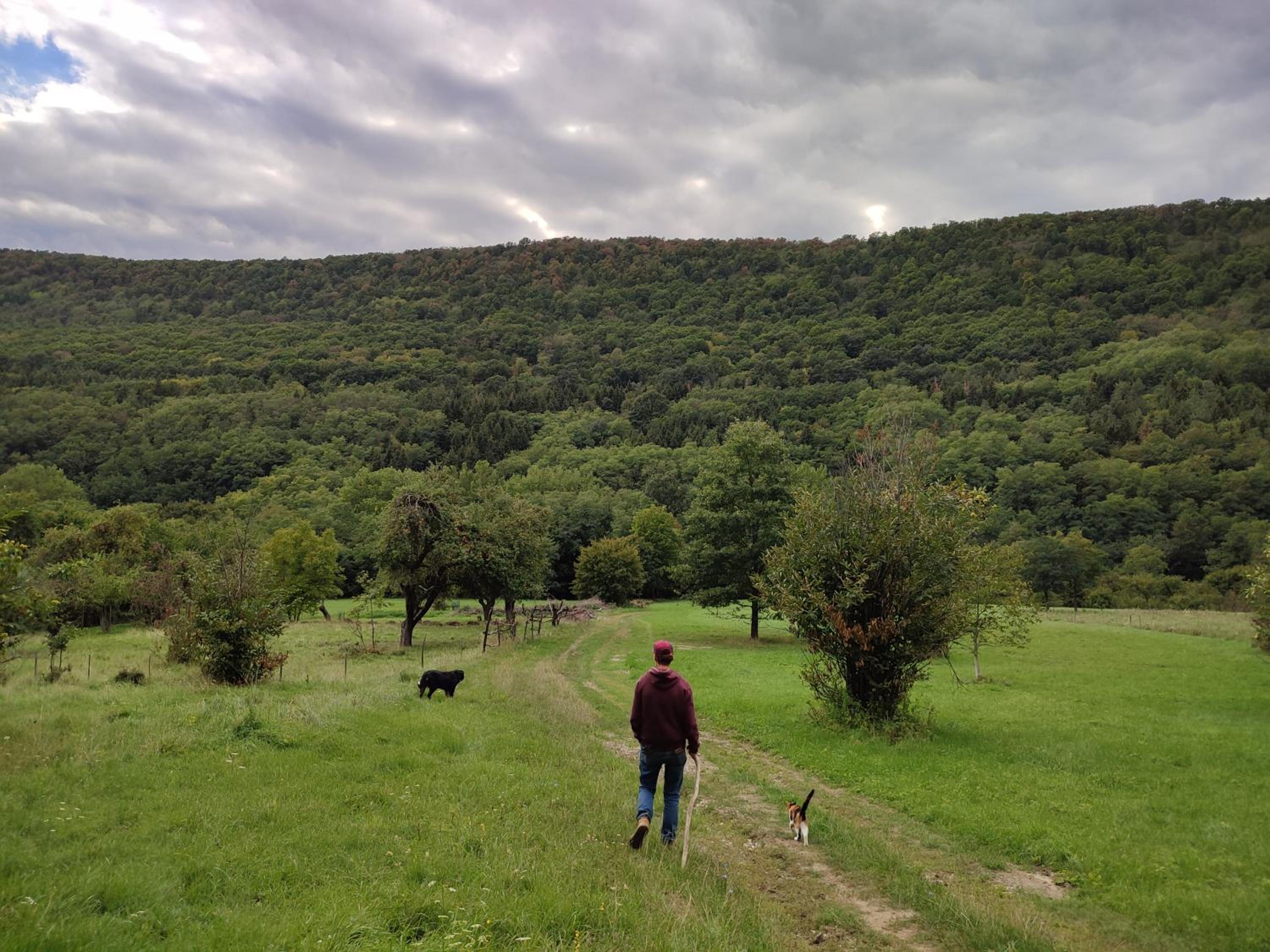 Photo 44
