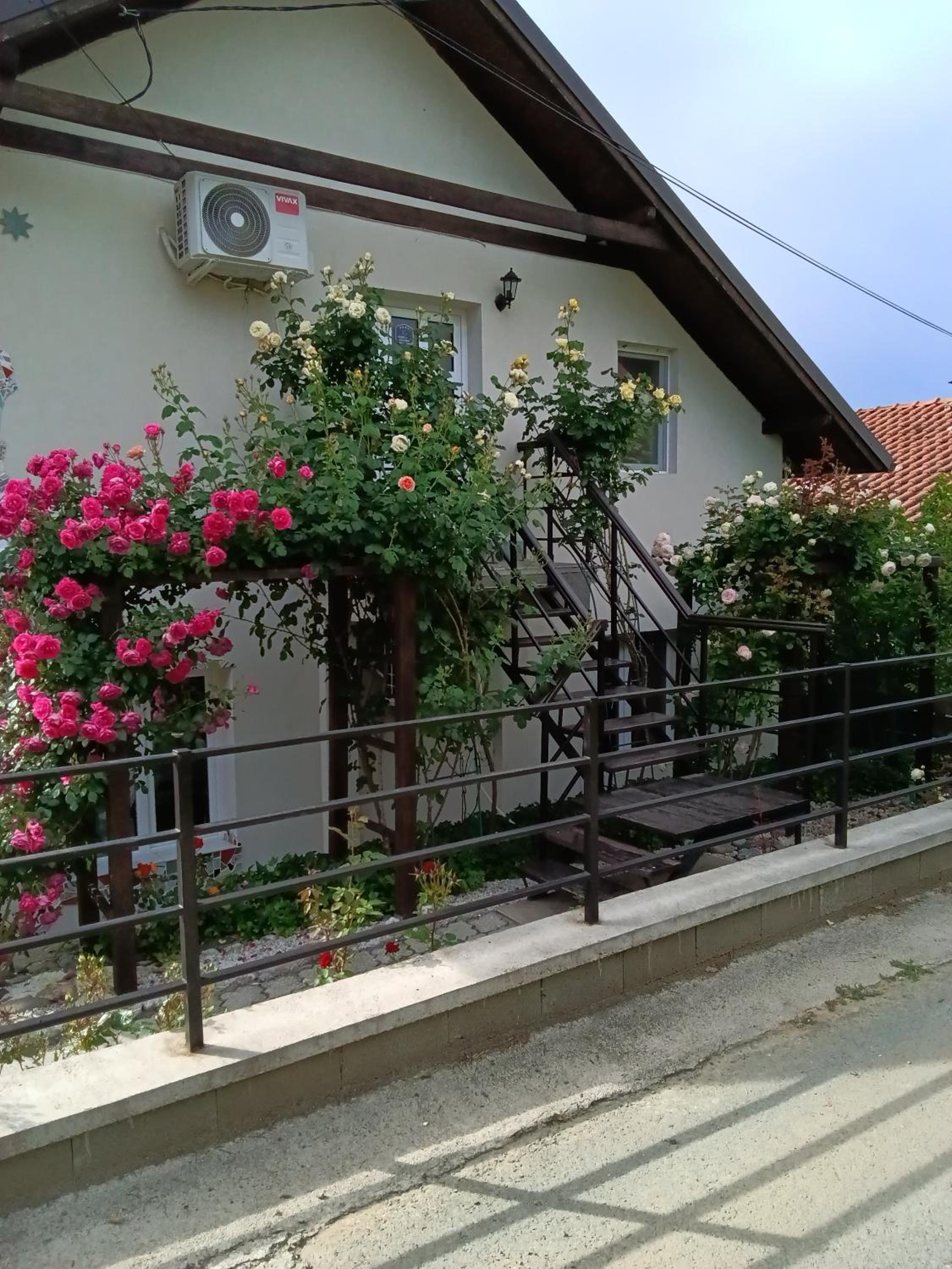 Photo 31