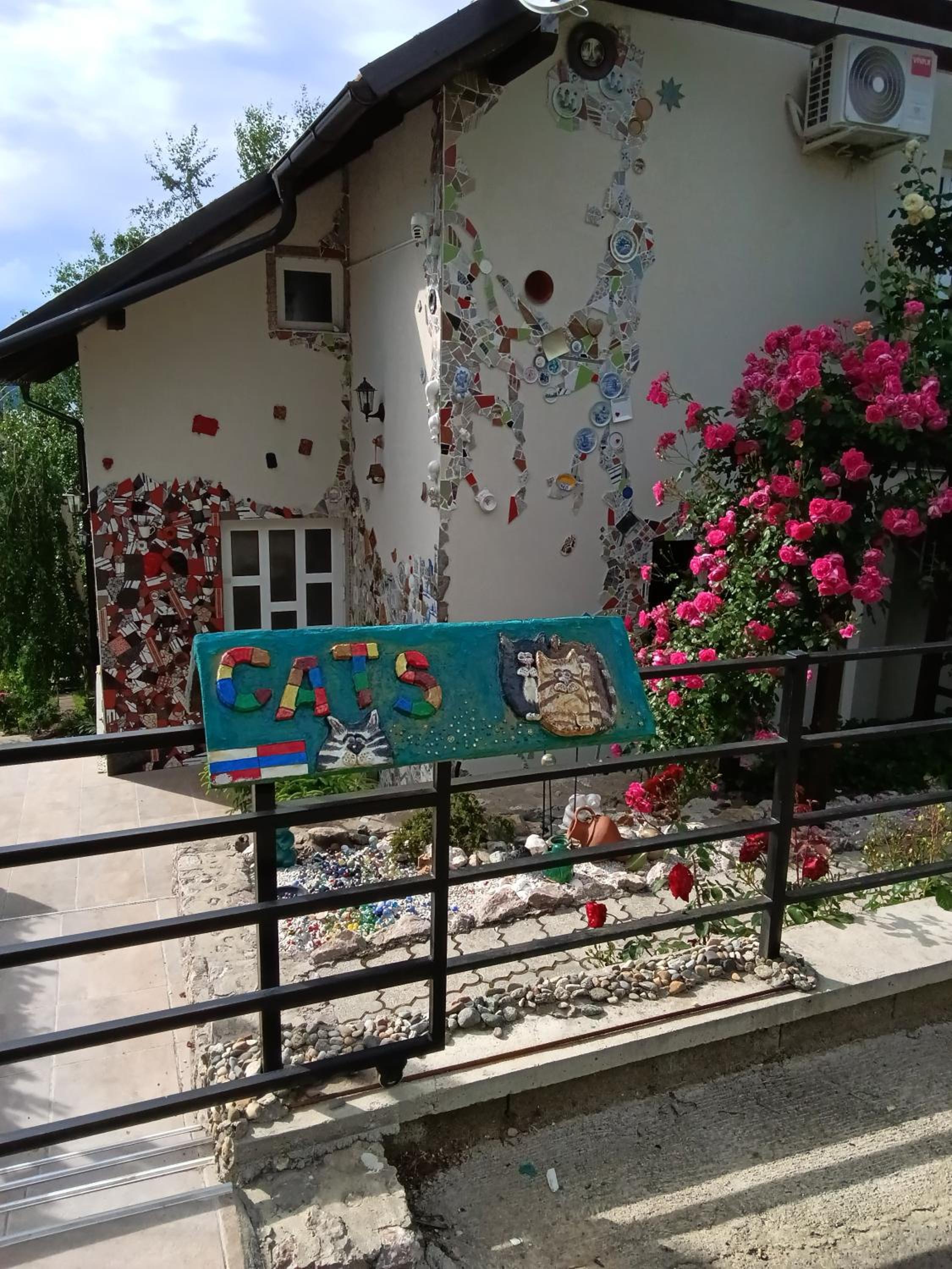 Photo 29