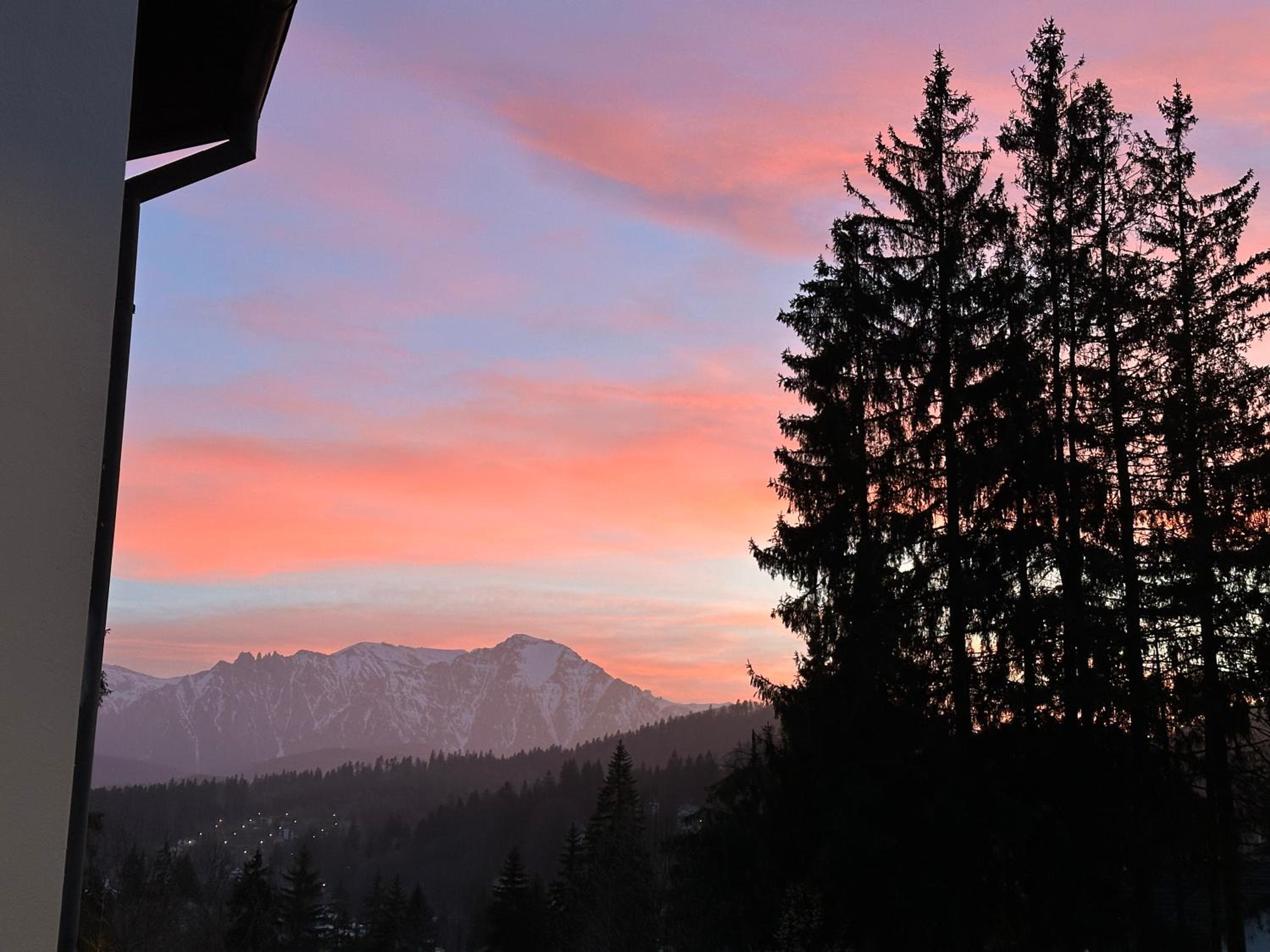 Pine Peak
