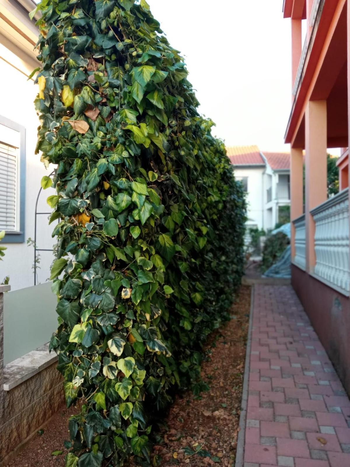 Apartman Dora