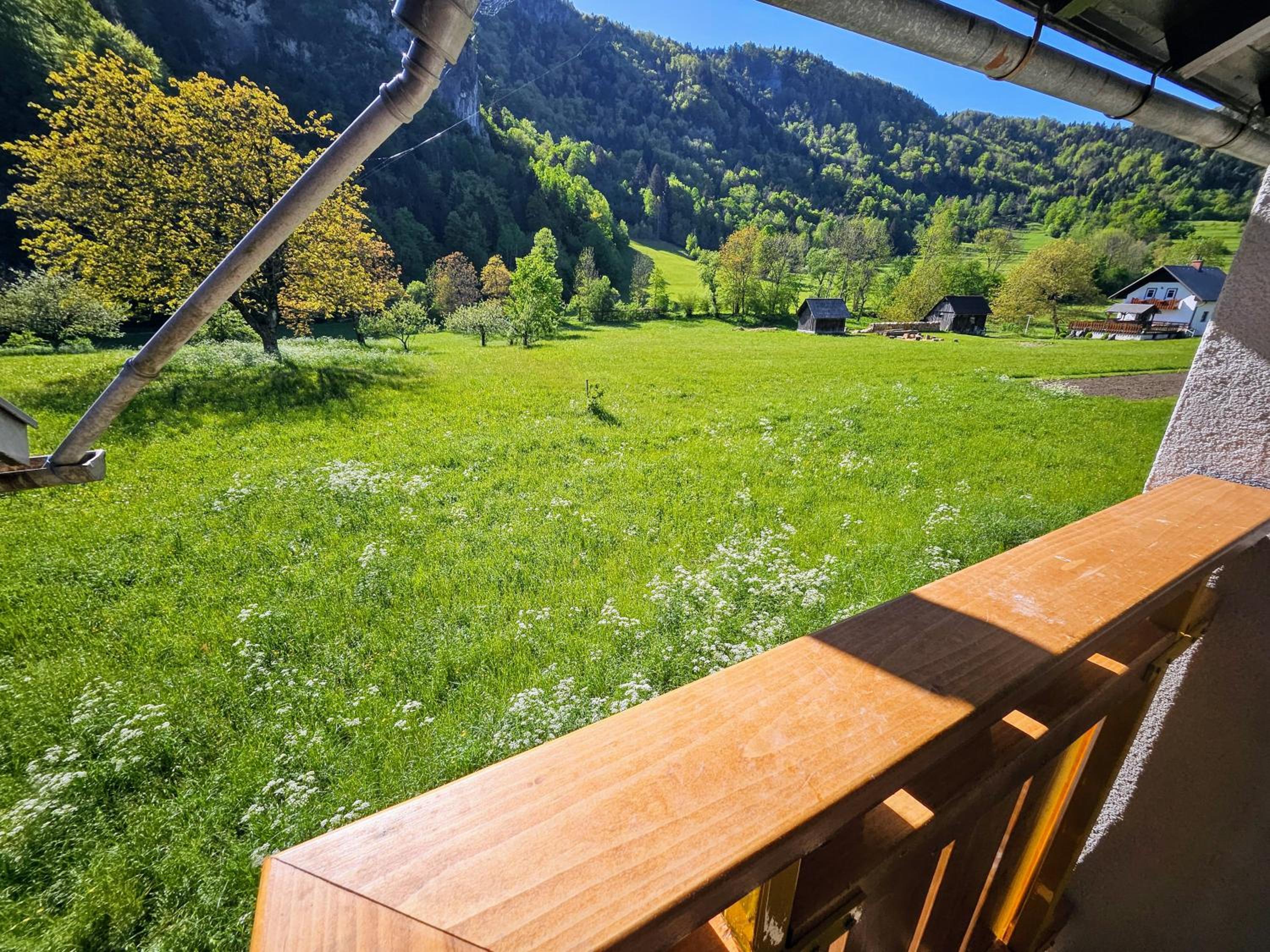 Rustic Alpine stay near Bled by Pintar Apartments