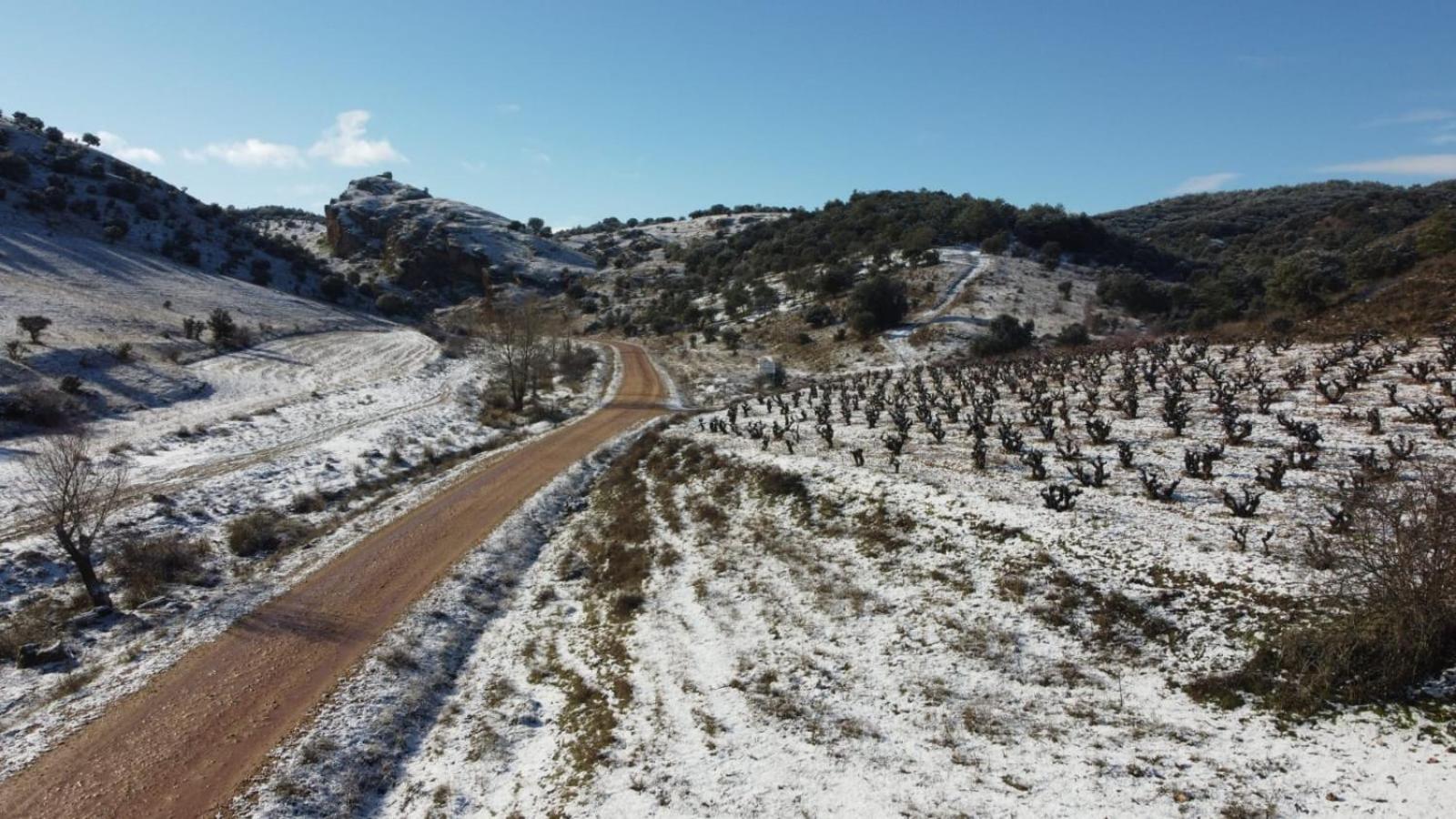 Entre Viñedos