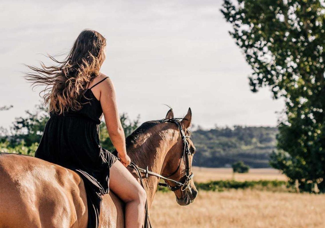 Photo 158