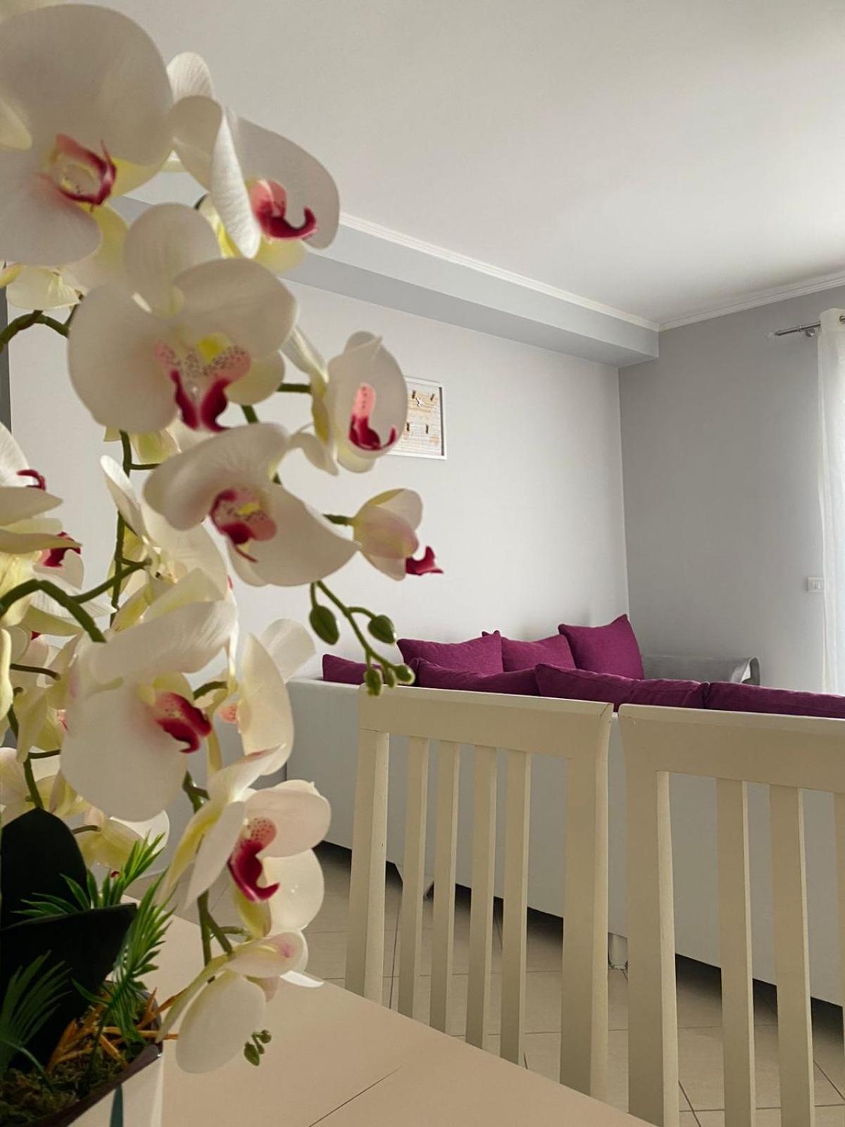 Ajlin’s Lungomare Apartment