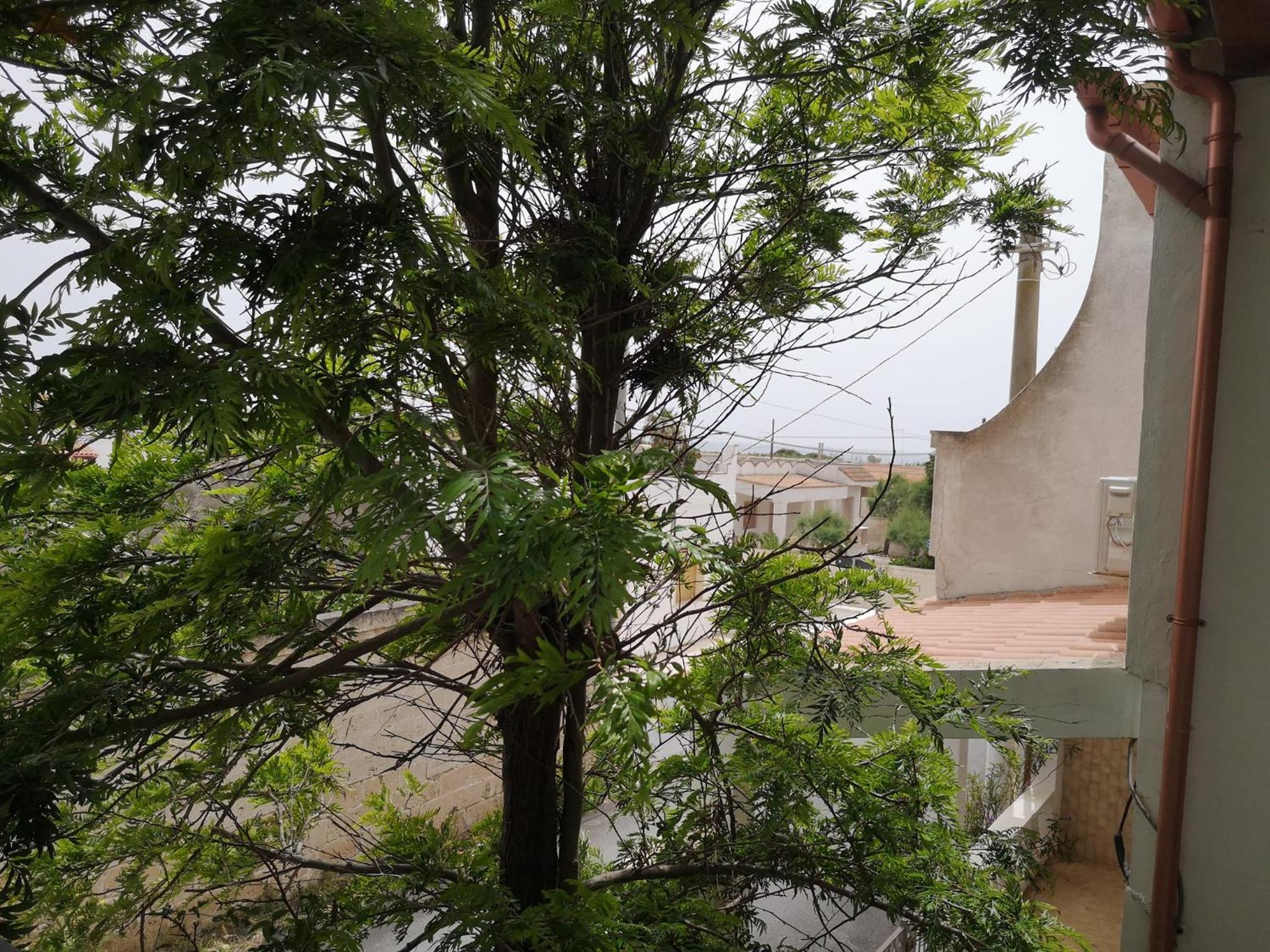 Casa da Terry