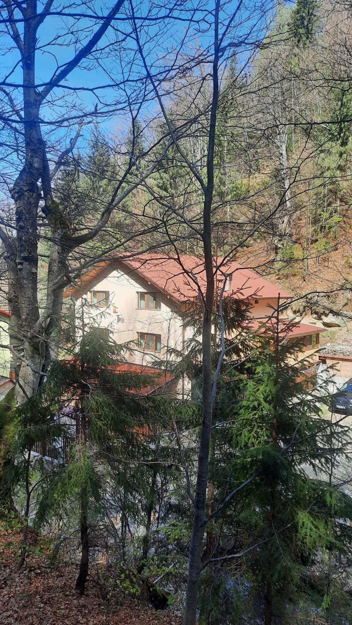 Photo 42