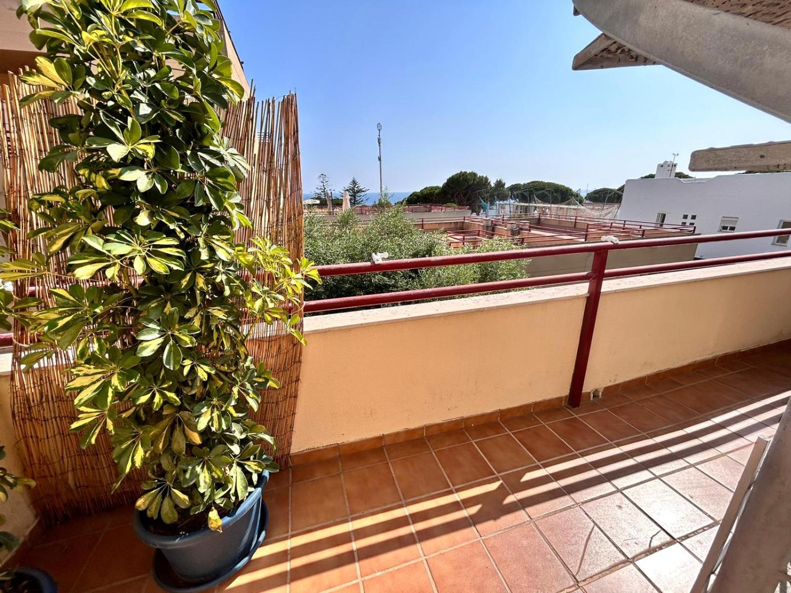 Complejo de apartamentos, áticos y Dúplex vacacionales Empul Caños de Meca