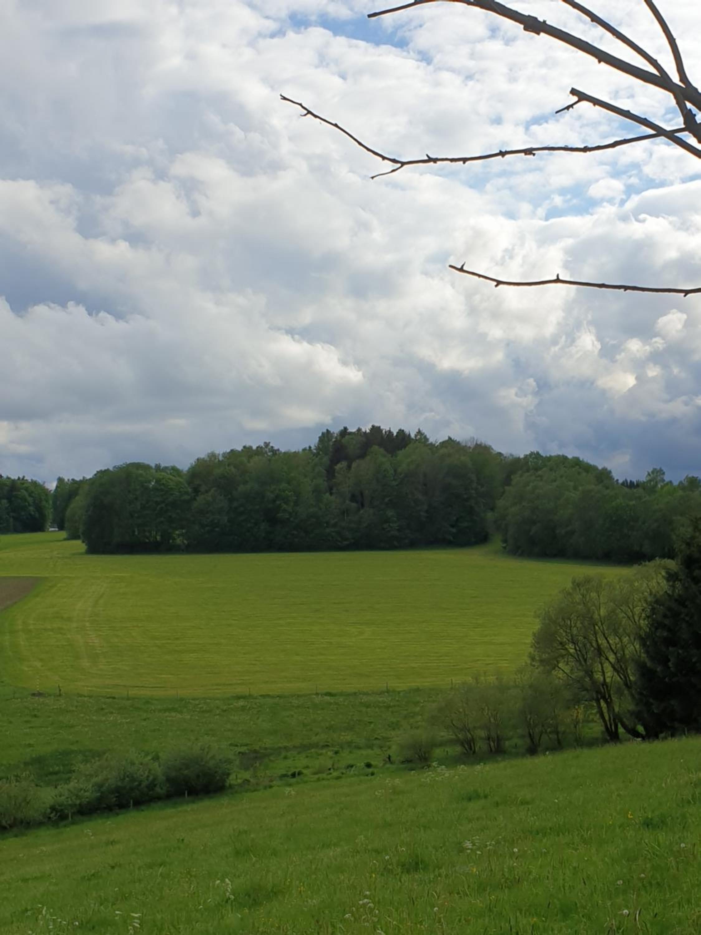 Ferienwohnung ErzHome