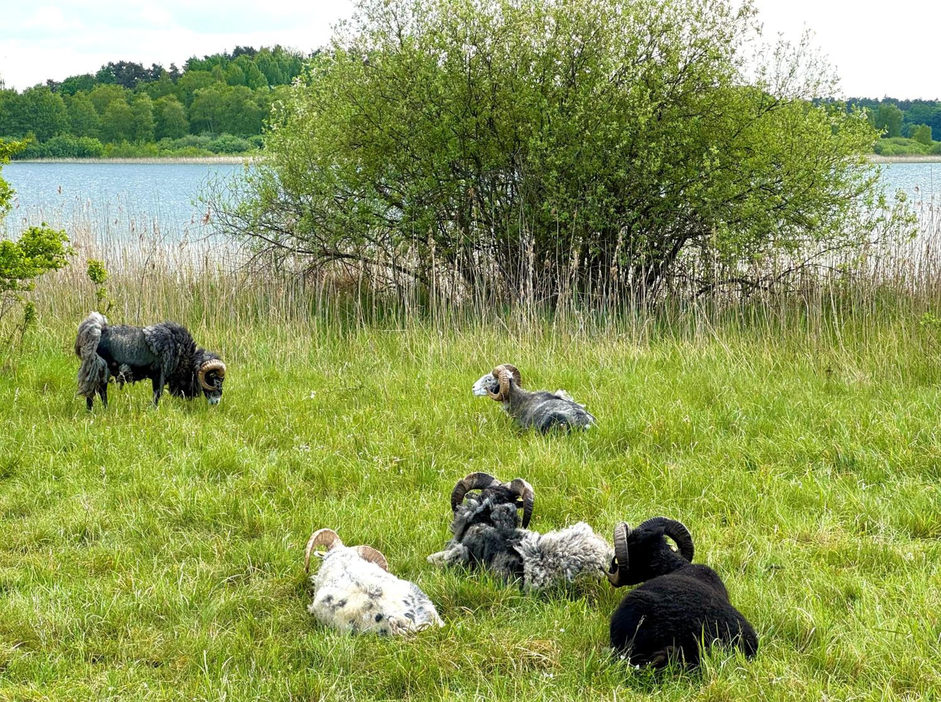 Photo 27