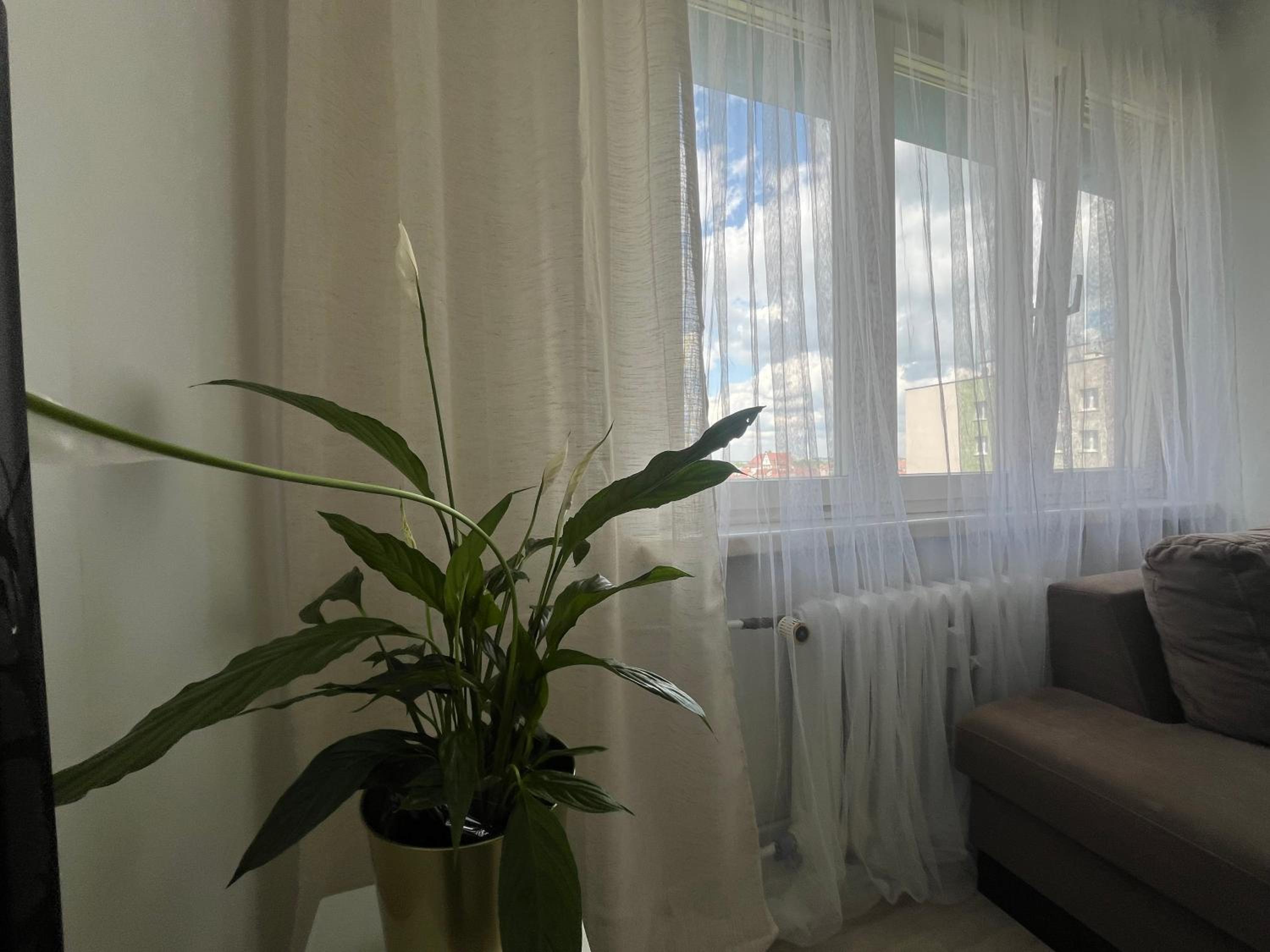 Sunny View Apartament