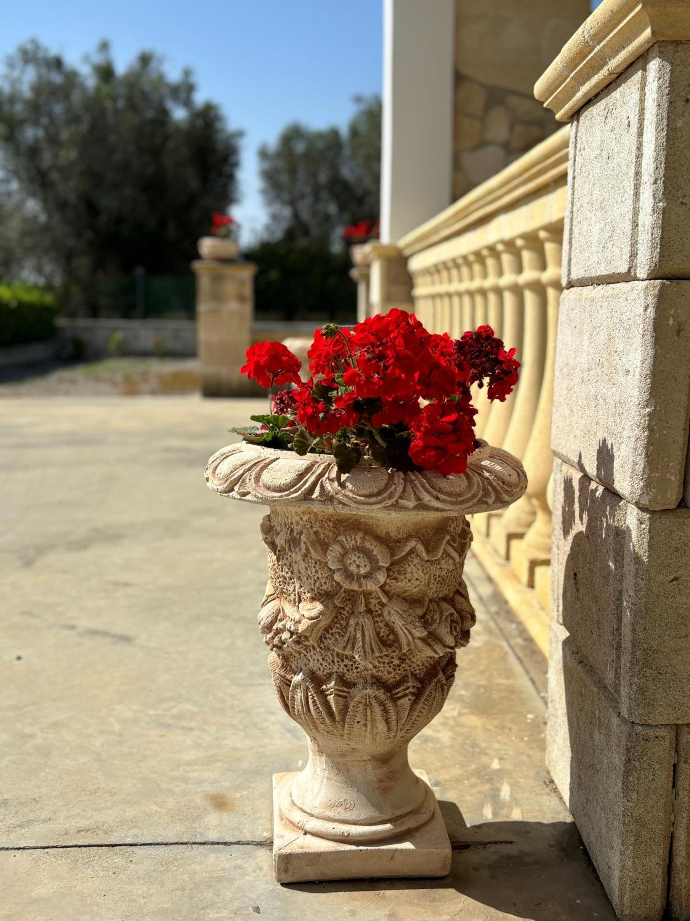 VILLA VITA