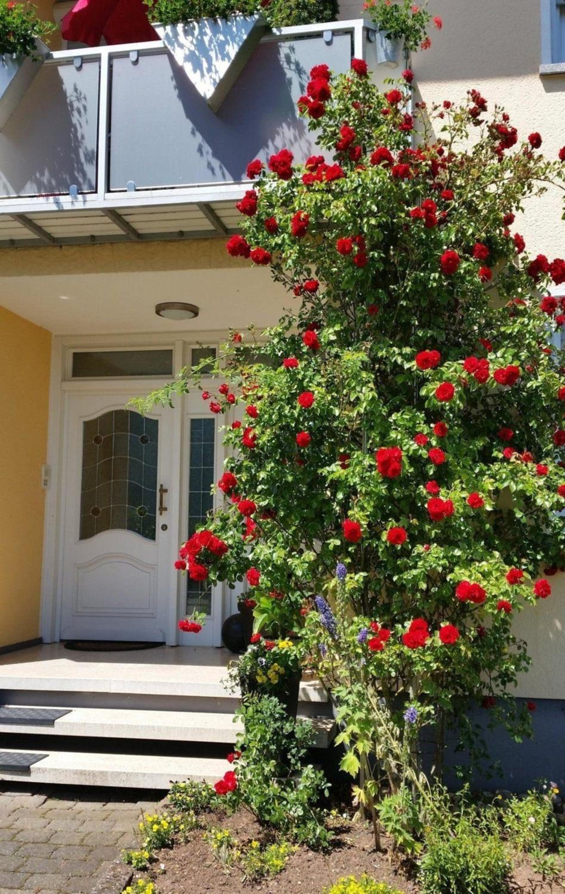 Komfortable, gemütliche 4 Sterne Ferienwohnung