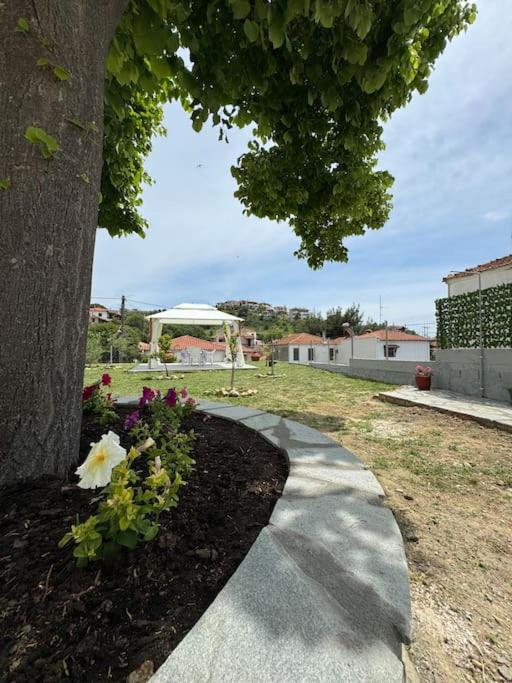 Villa Galini Nikiti view 5