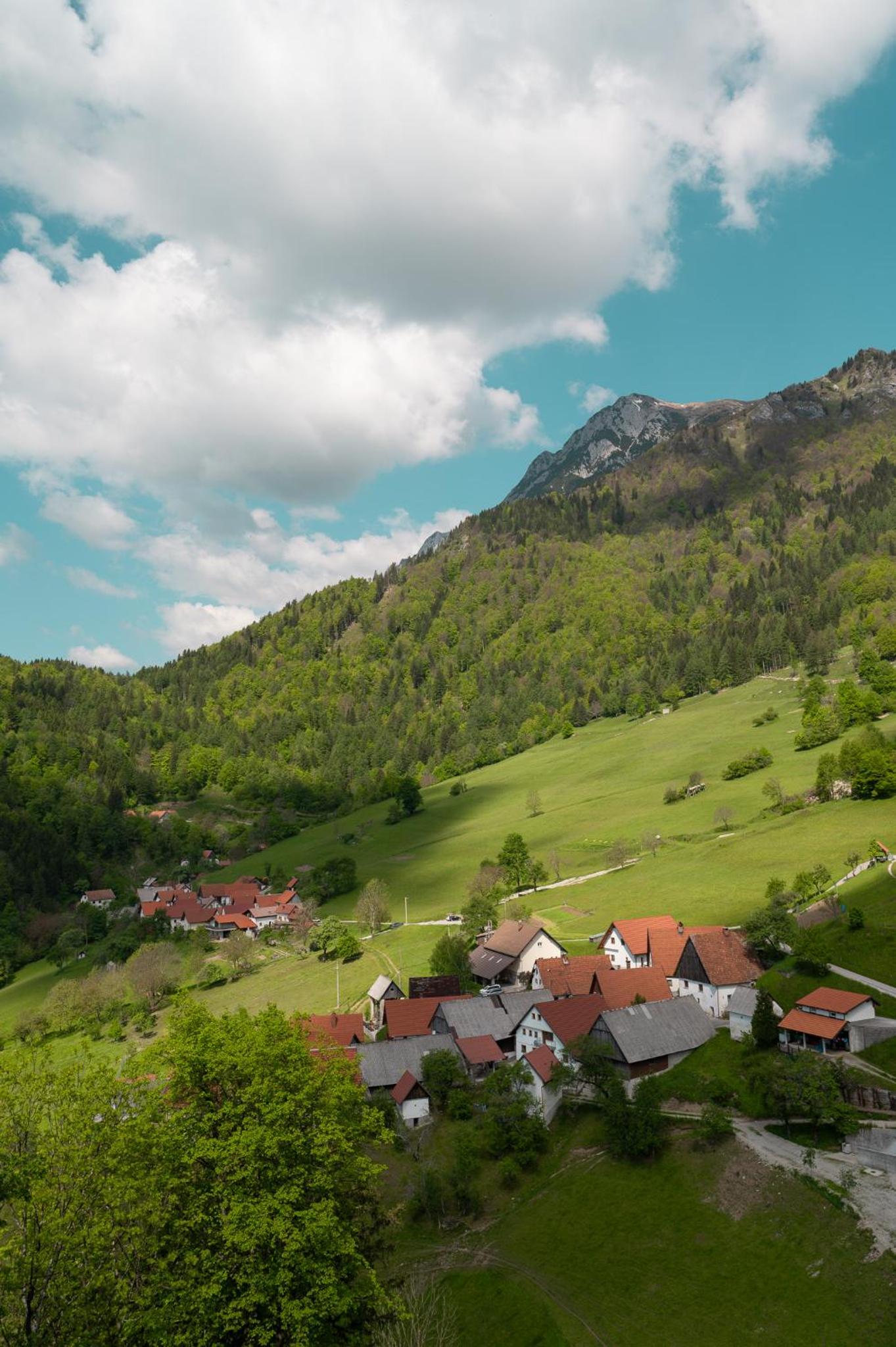 Hiša Juliana - Perfect Starting Point To Explore Slovenia view 4