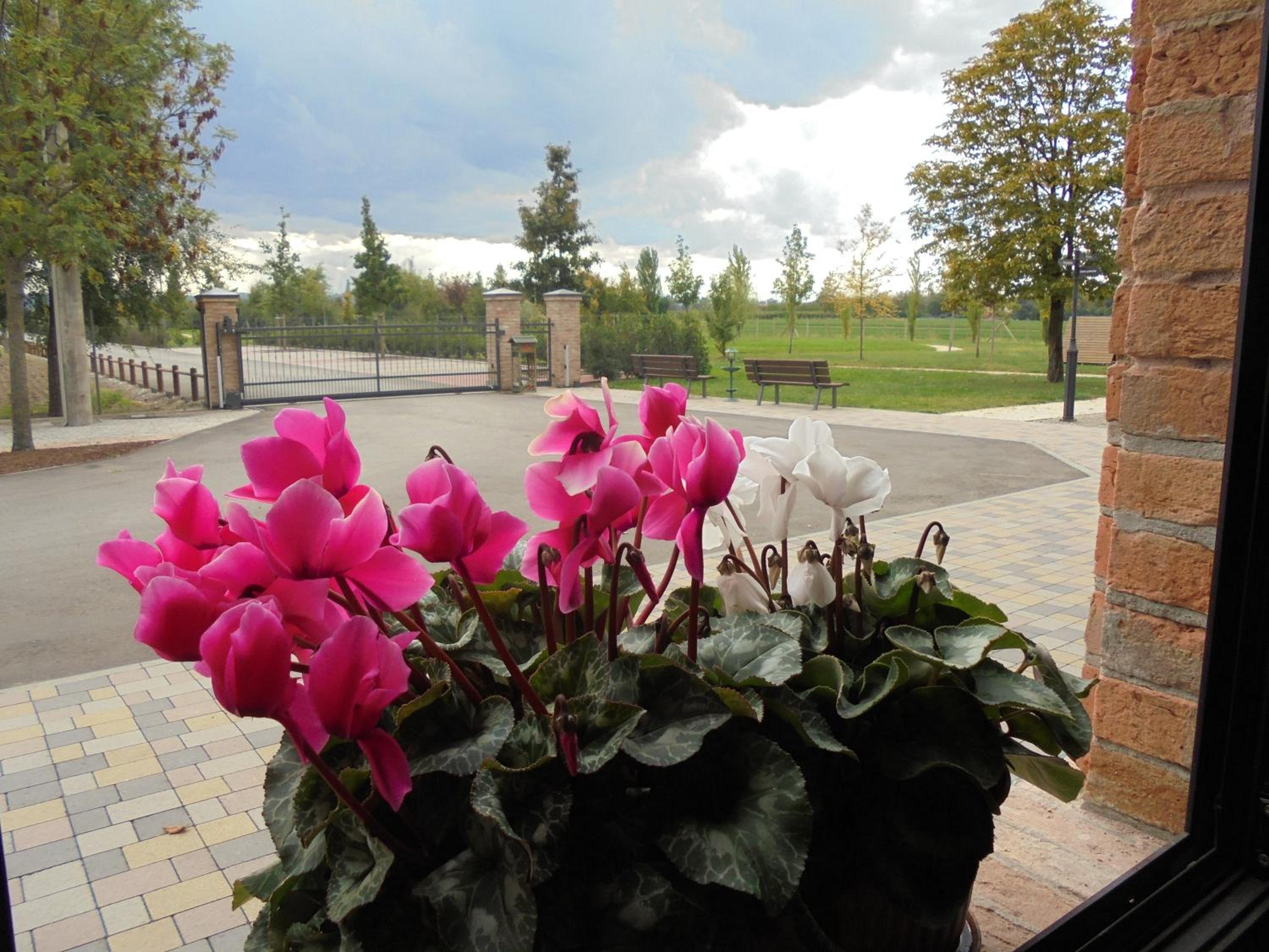 La Casa di Campagna - Property Image 32