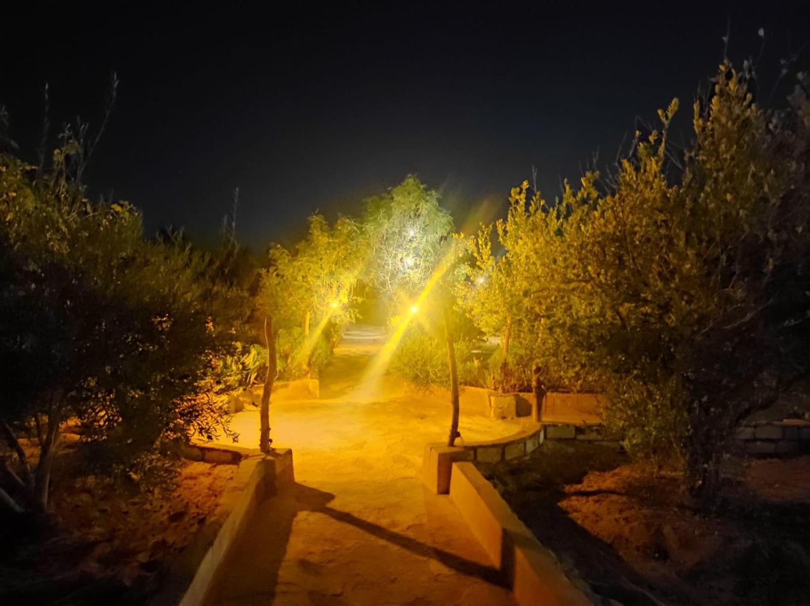 Bedouin Siwa Hotel