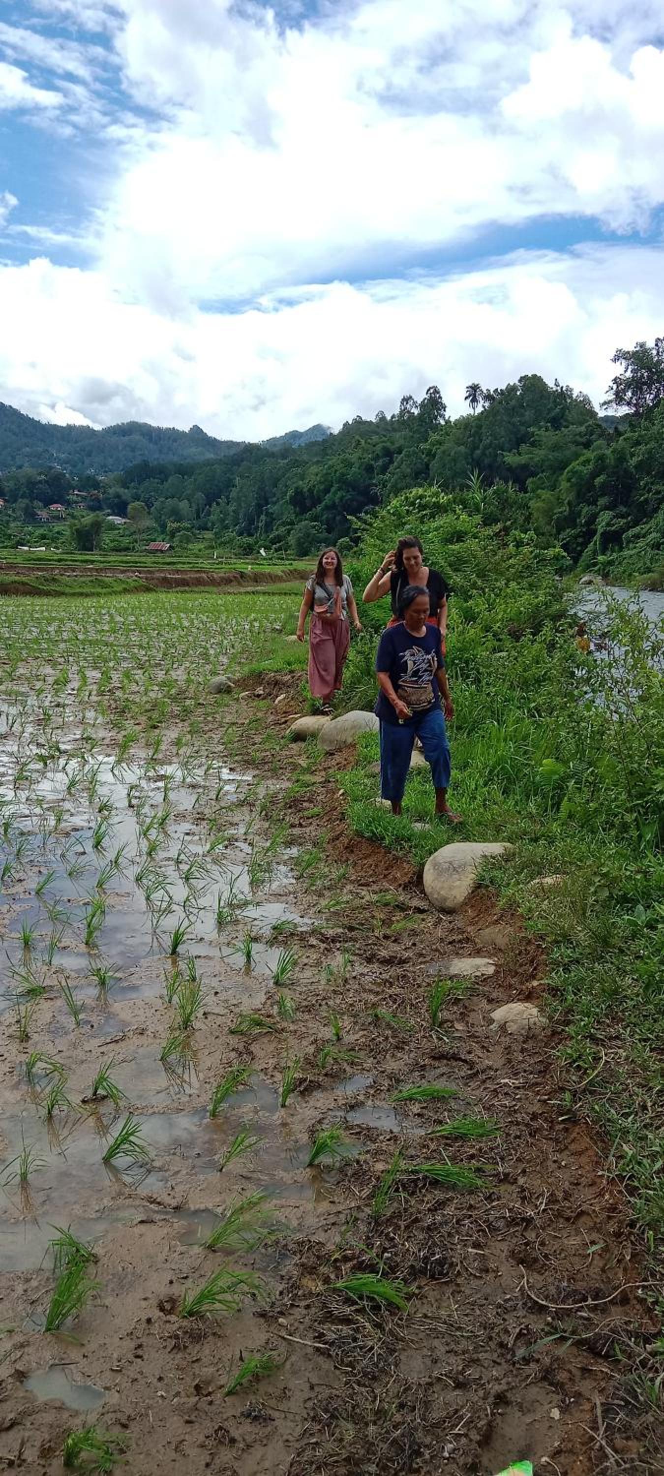 Toraja Sanggalangi Homestay